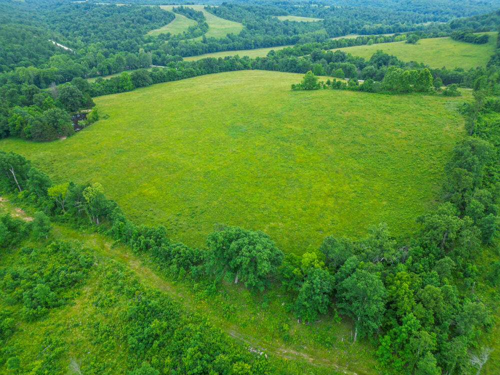 Photo 3 - Land for sale – 258  State Road Yy   Tunas, MO