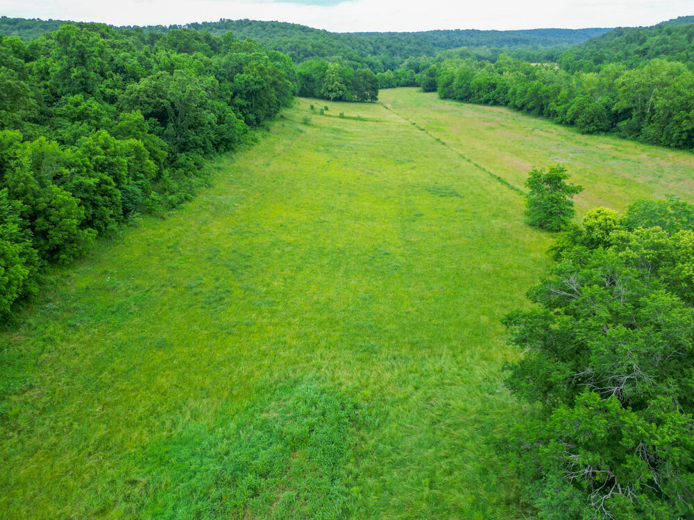 Photo 8 - Land for sale – 258  State Road Yy   Tunas, MO