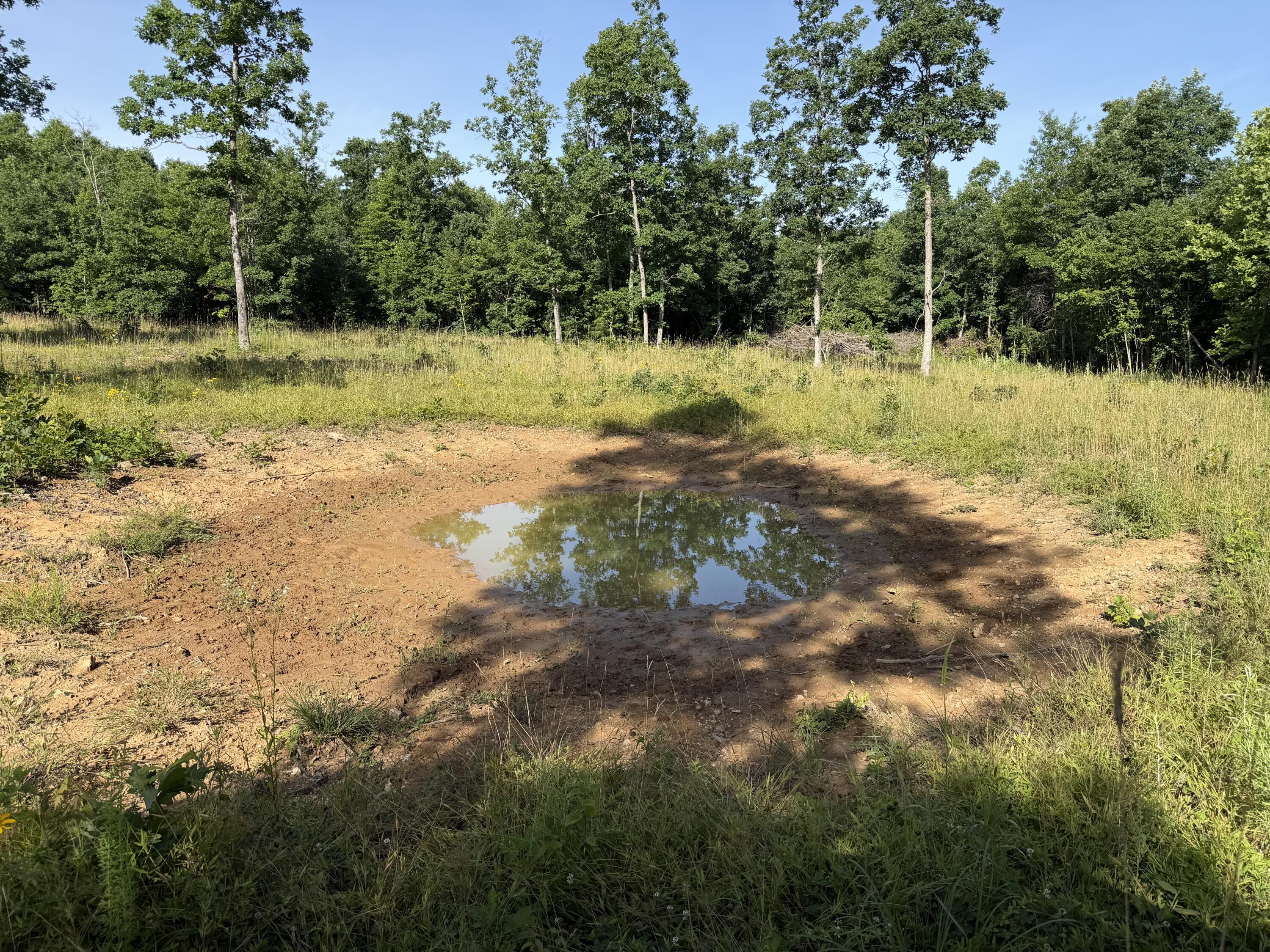 Photo 22 - Land for sale – 000  County Road Ff-459   Birch Tree, MO