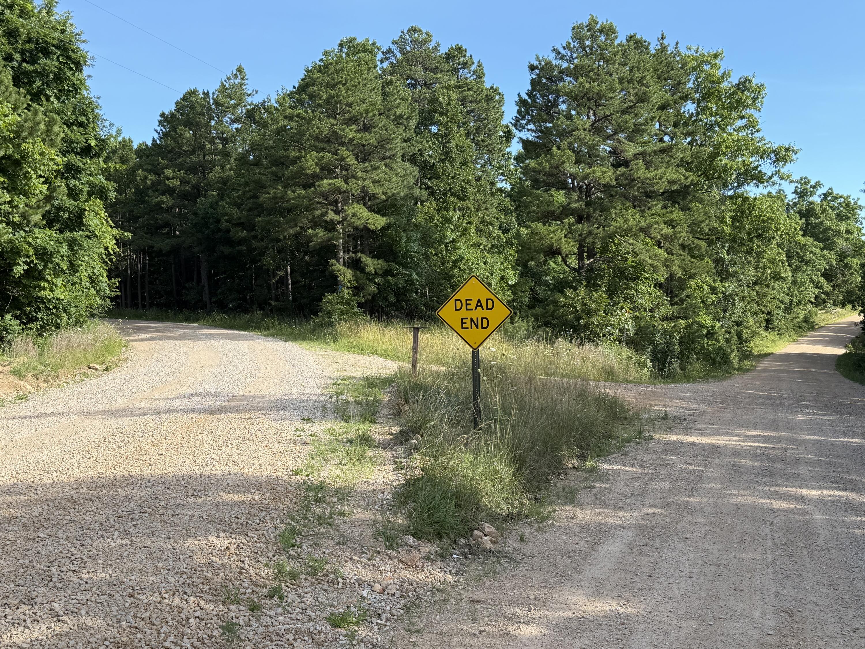 Photo 20 - Land for sale – 000  County Road Ff-459   Birch Tree, MO