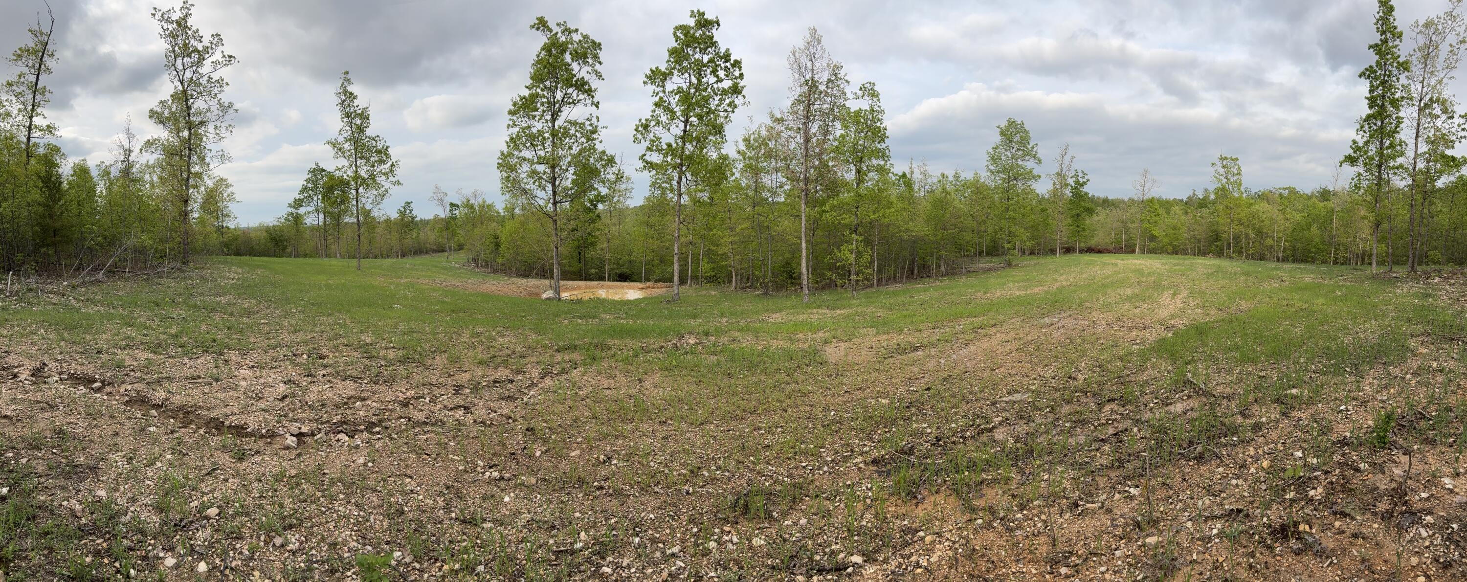 Photo 39 - Land for sale – 000  County Road Ff-459   Birch Tree, MO