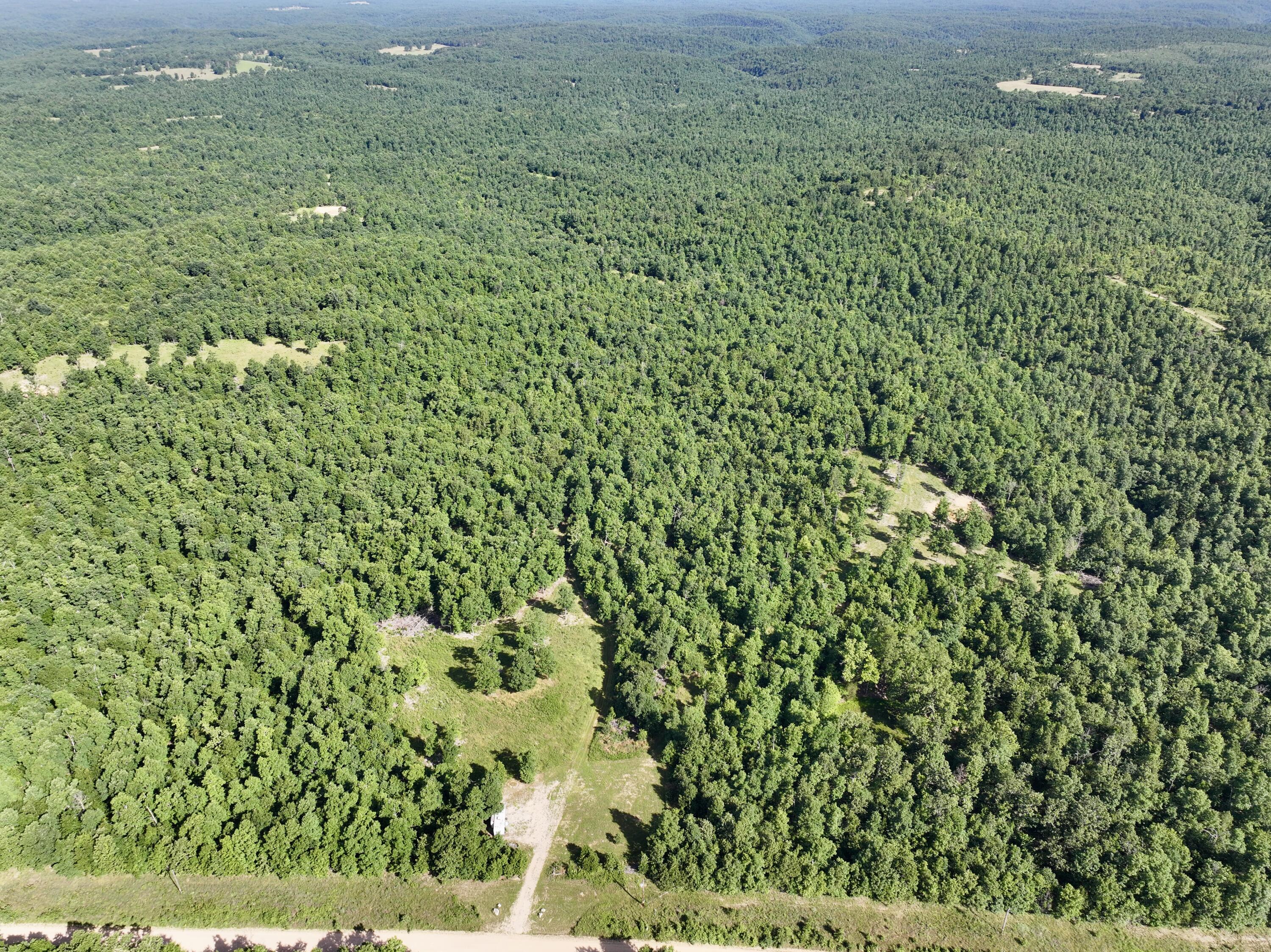 Photo 10 - Land for sale – 000  County Road Ff-459   Birch Tree, MO