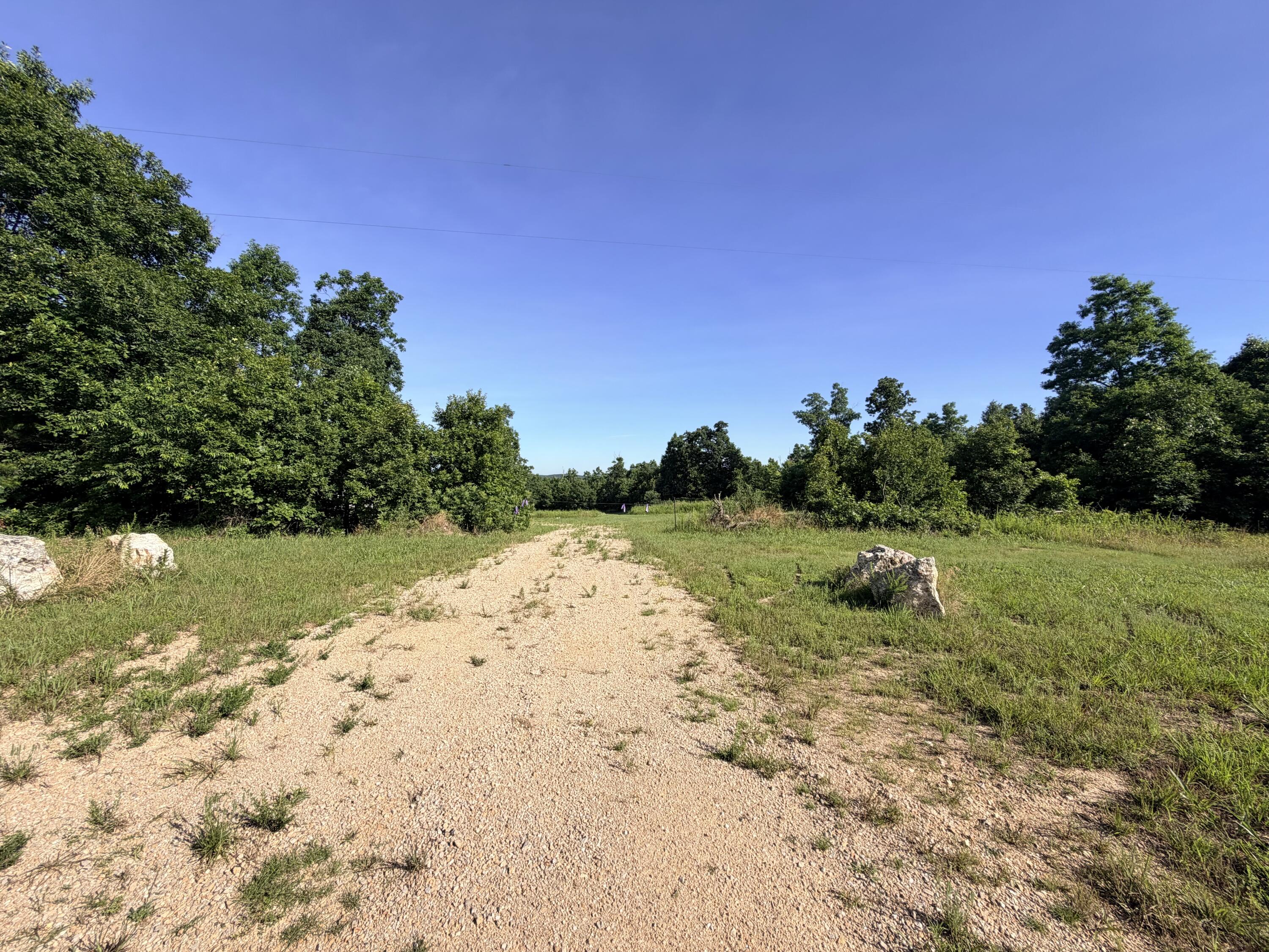 Photo 52 - Land for sale – 000  County Road Ff-459   Birch Tree, MO