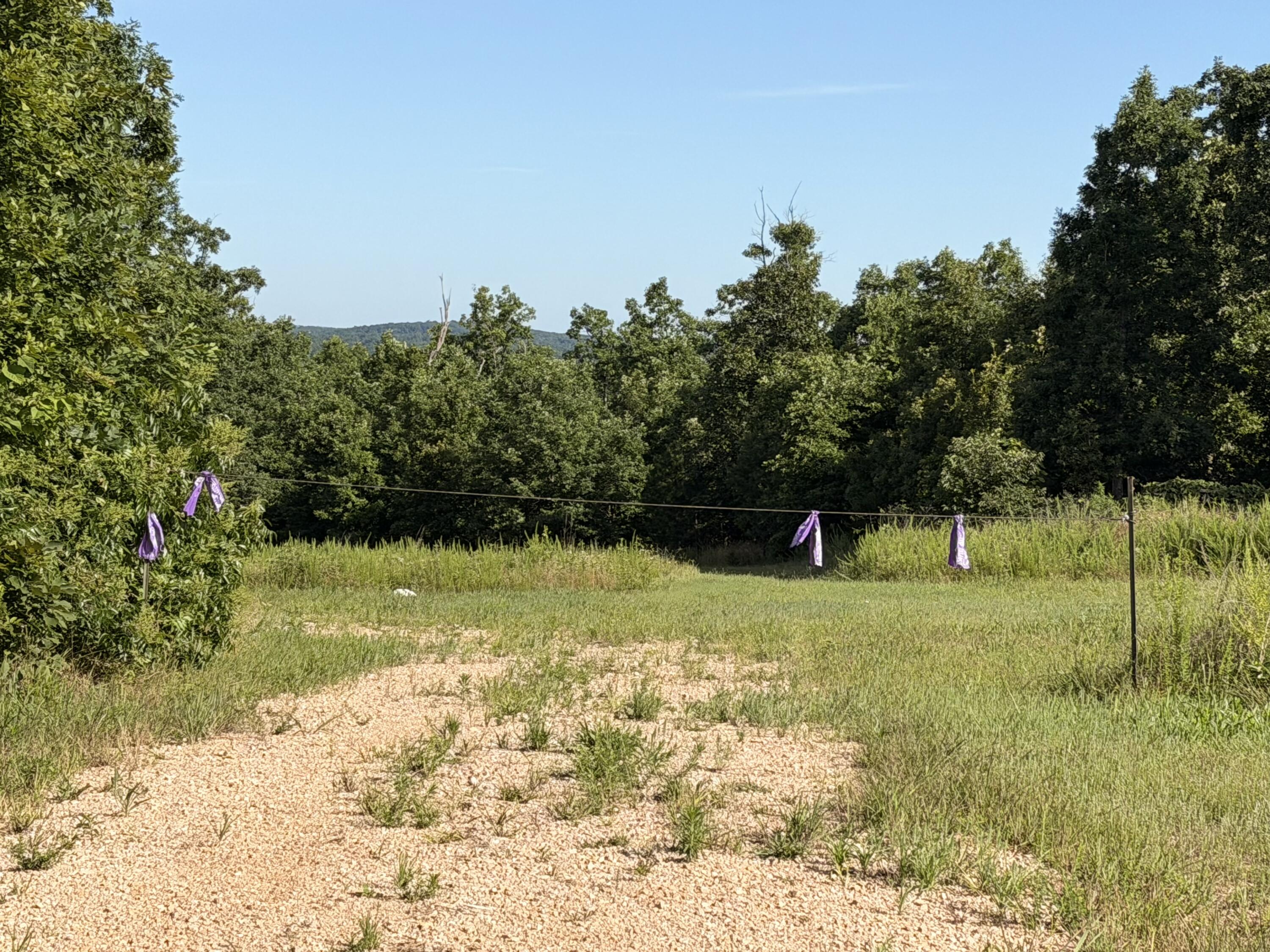 Photo 51 - Land for sale – 000  County Road Ff-459   Birch Tree, MO