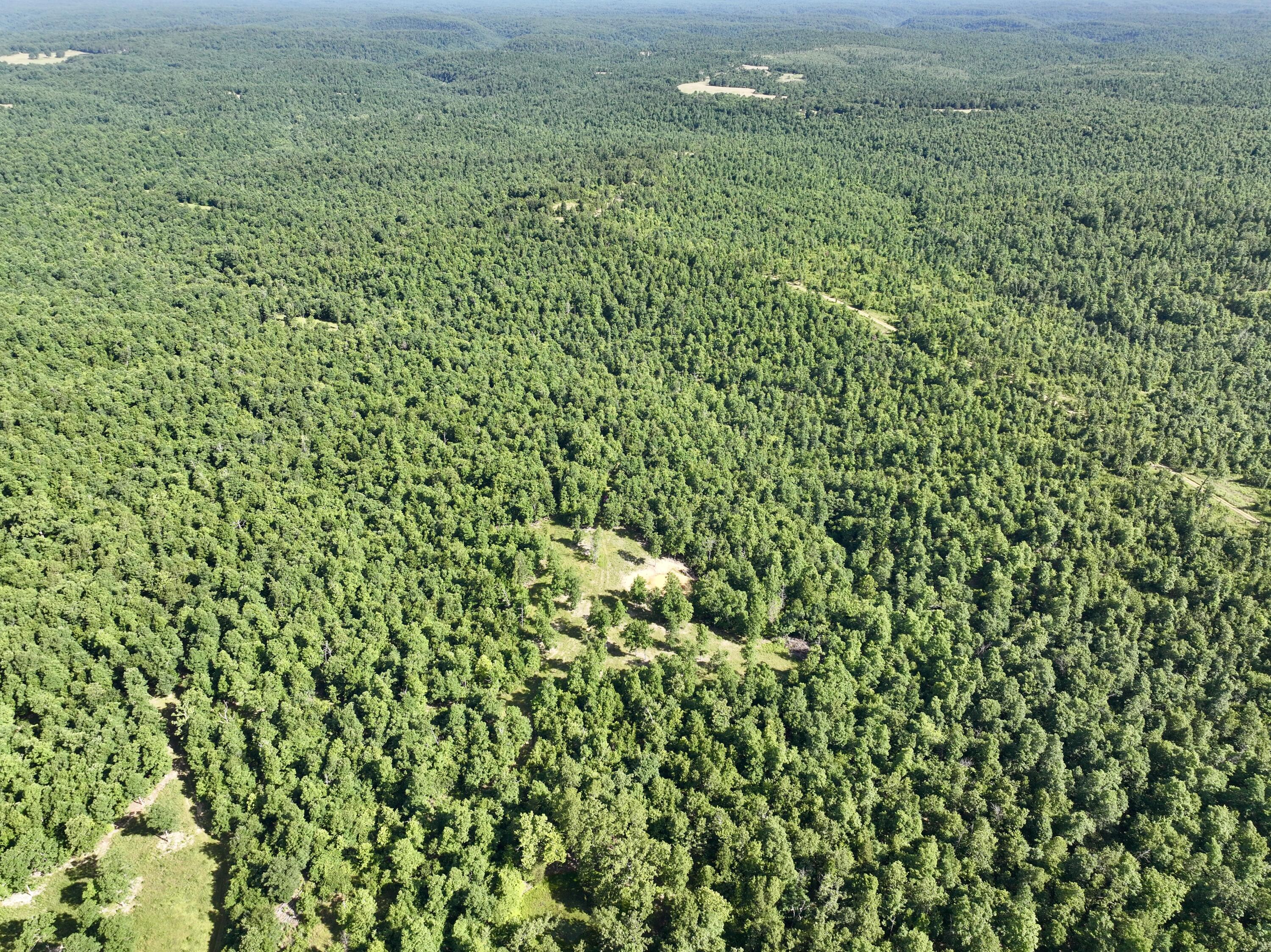Photo 50 - Land for sale – 000  County Road Ff-459   Birch Tree, MO