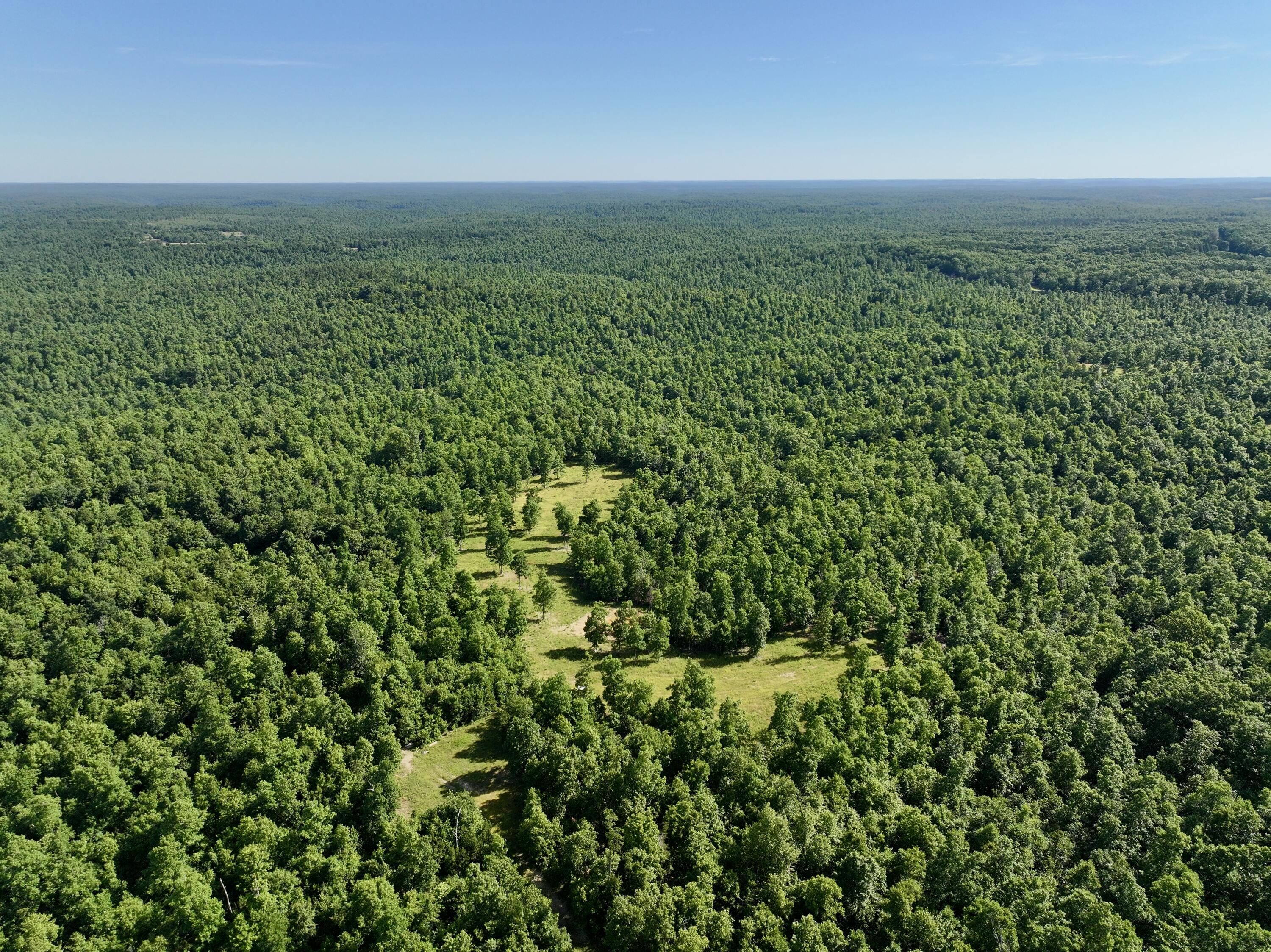 Photo 47 - Land for sale – 000  County Road Ff-459   Birch Tree, MO