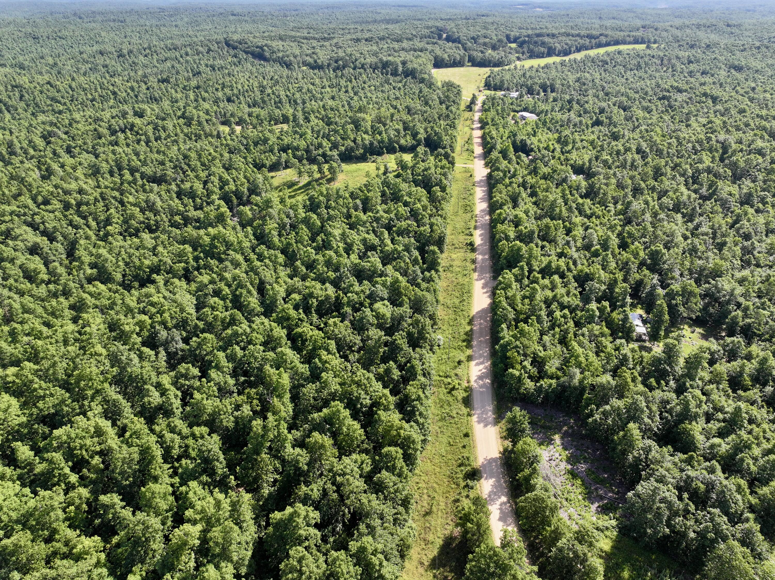 Photo 48 - Land for sale – 000  County Road Ff-459   Birch Tree, MO
