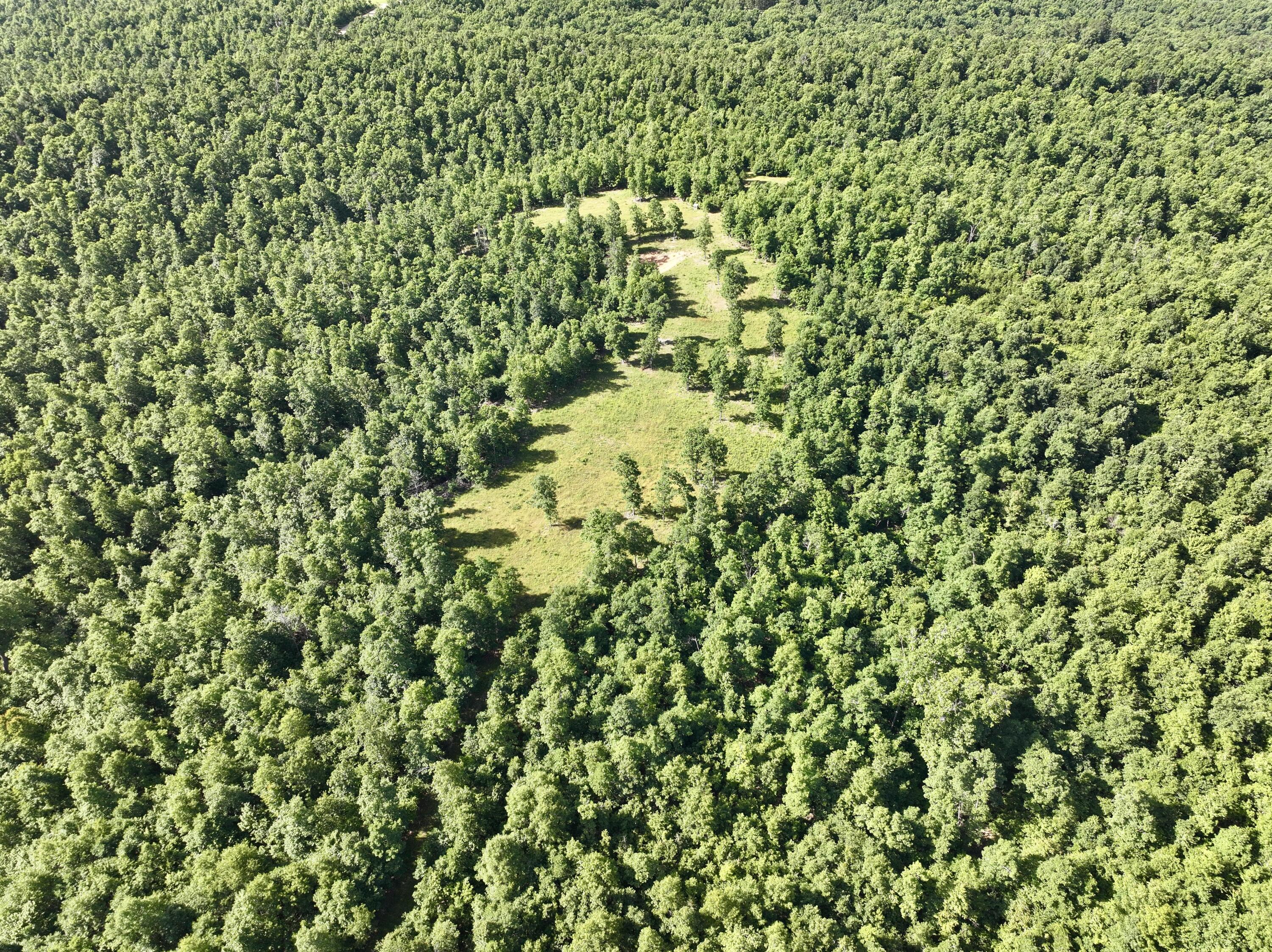 Photo 36 - Land for sale – 000  County Road Ff-459   Birch Tree, MO