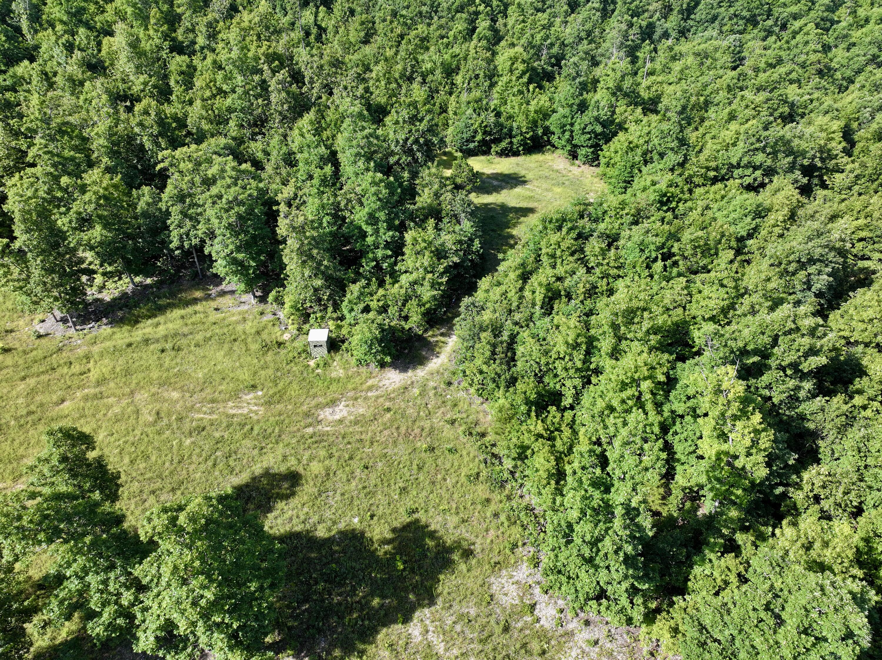 Photo 5 - Land for sale – 000  County Road Ff-459   Birch Tree, MO