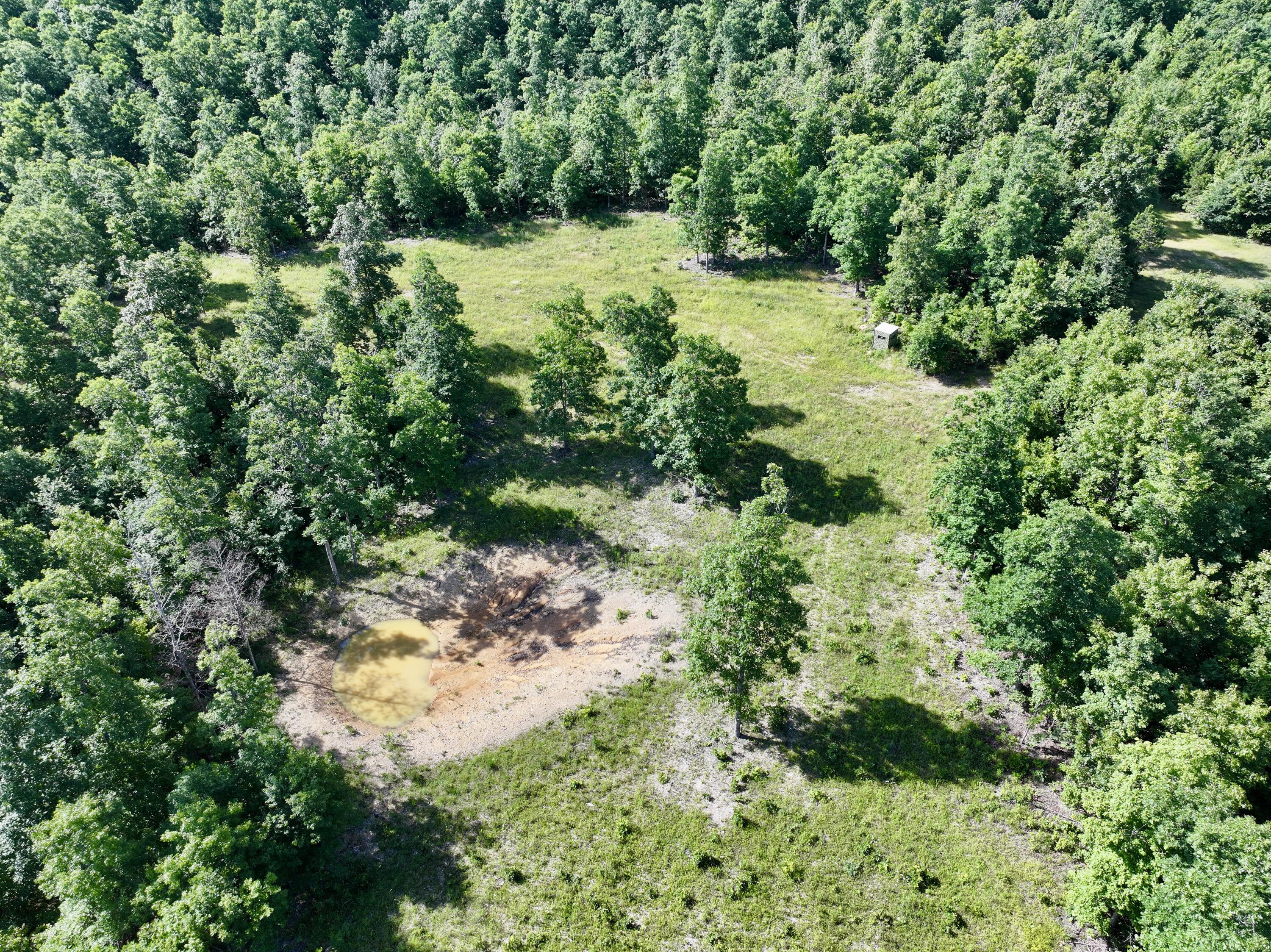 Photo 38 - Land for sale – 000  County Road Ff-459   Birch Tree, MO