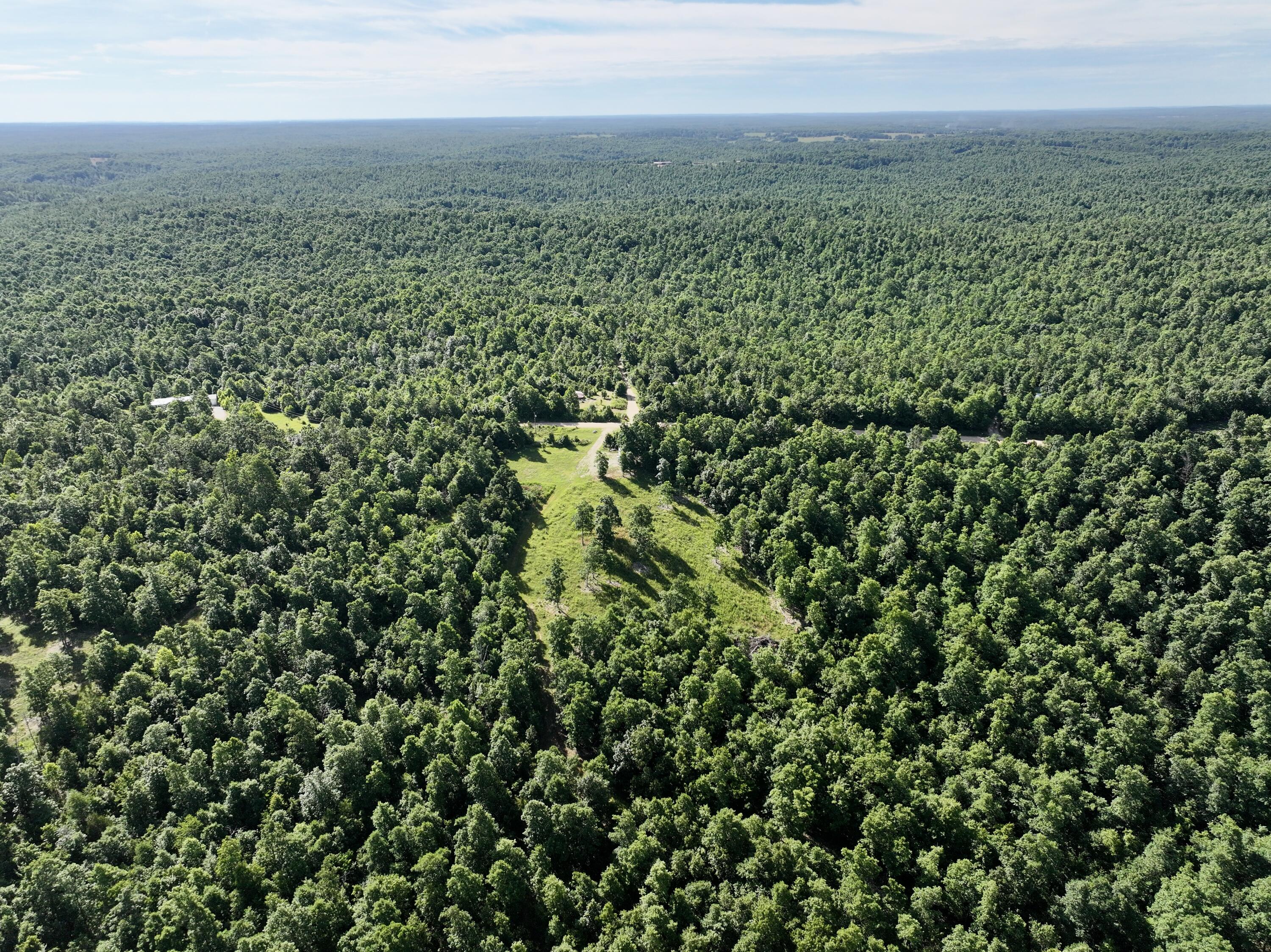 Photo 7 - Land for sale – 000  County Road Ff-459   Birch Tree, MO