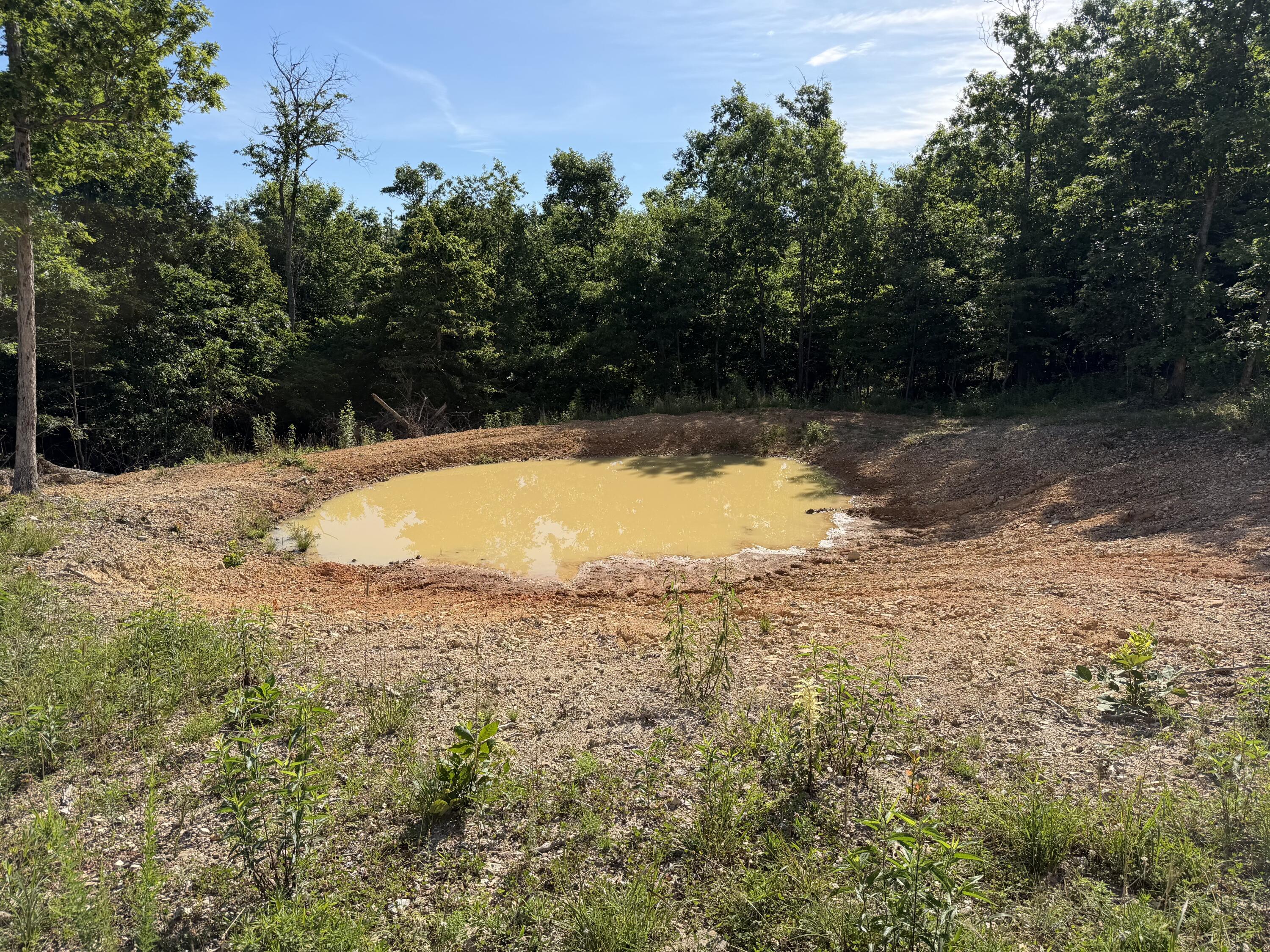 Photo 21 - Land for sale – 000  County Road Ff-459   Birch Tree, MO