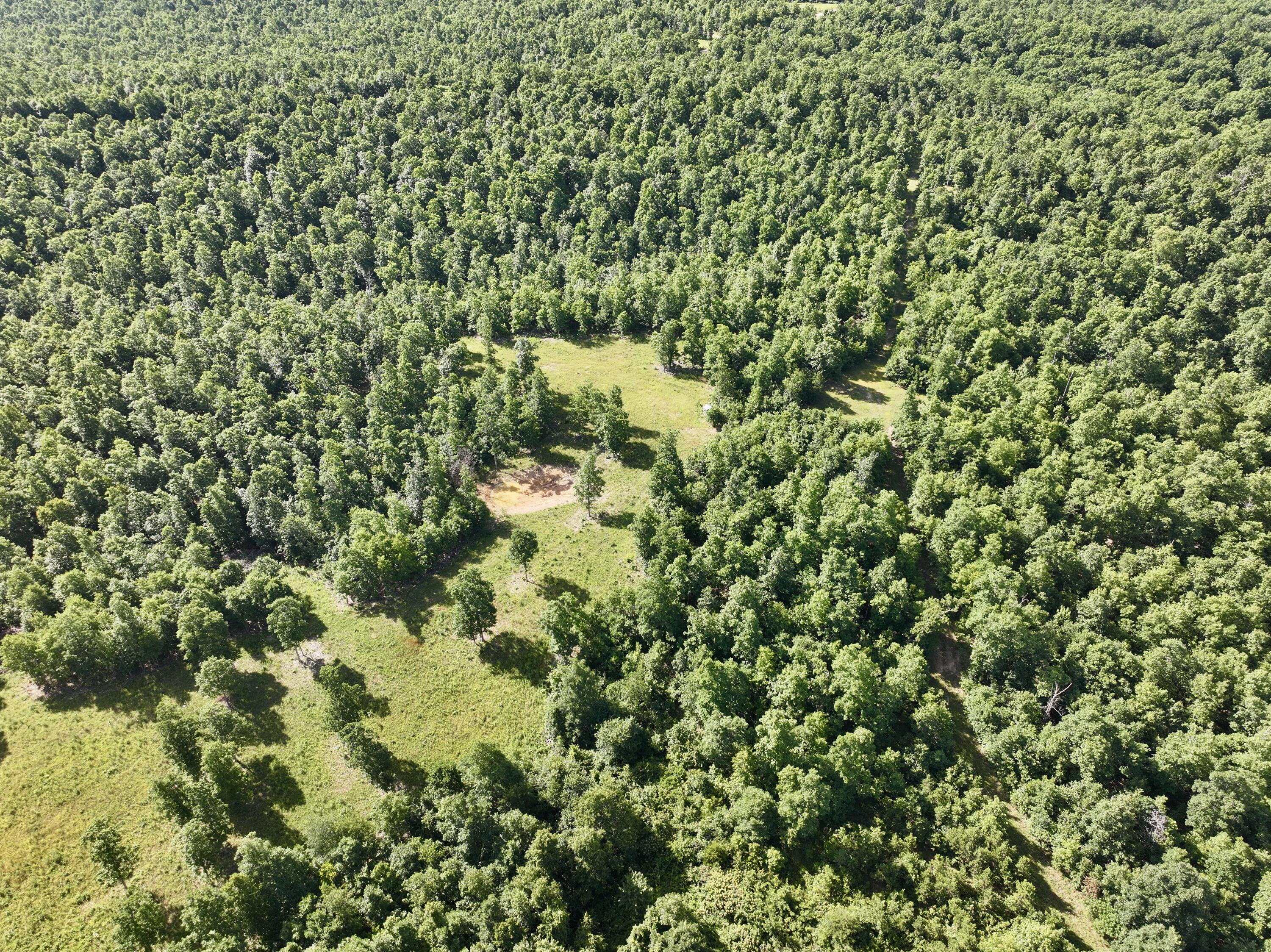 Photo 37 - Land for sale – 000  County Road Ff-459   Birch Tree, MO