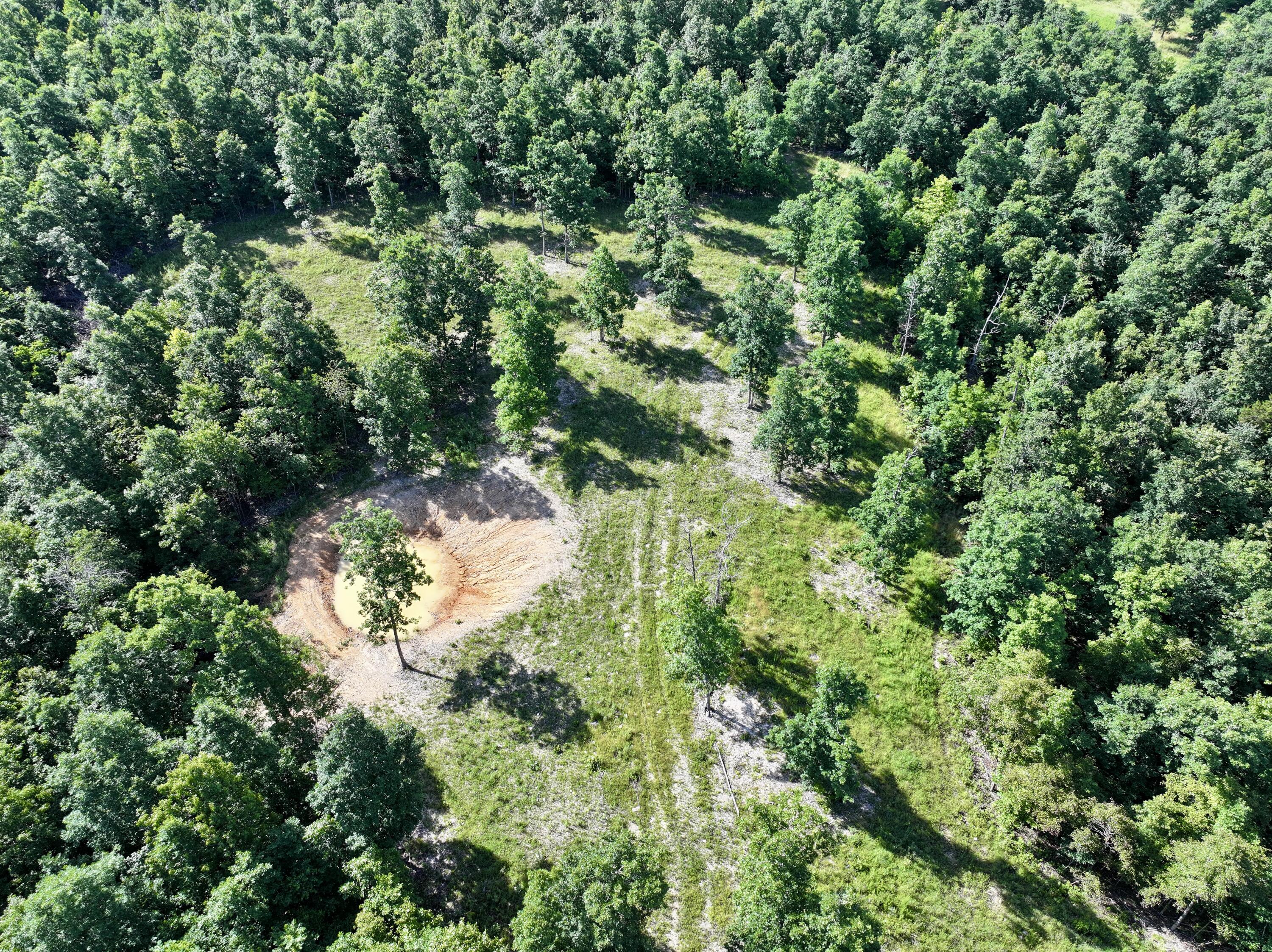 Photo 3 - Land for sale – 000  County Road Ff-459   Birch Tree, MO