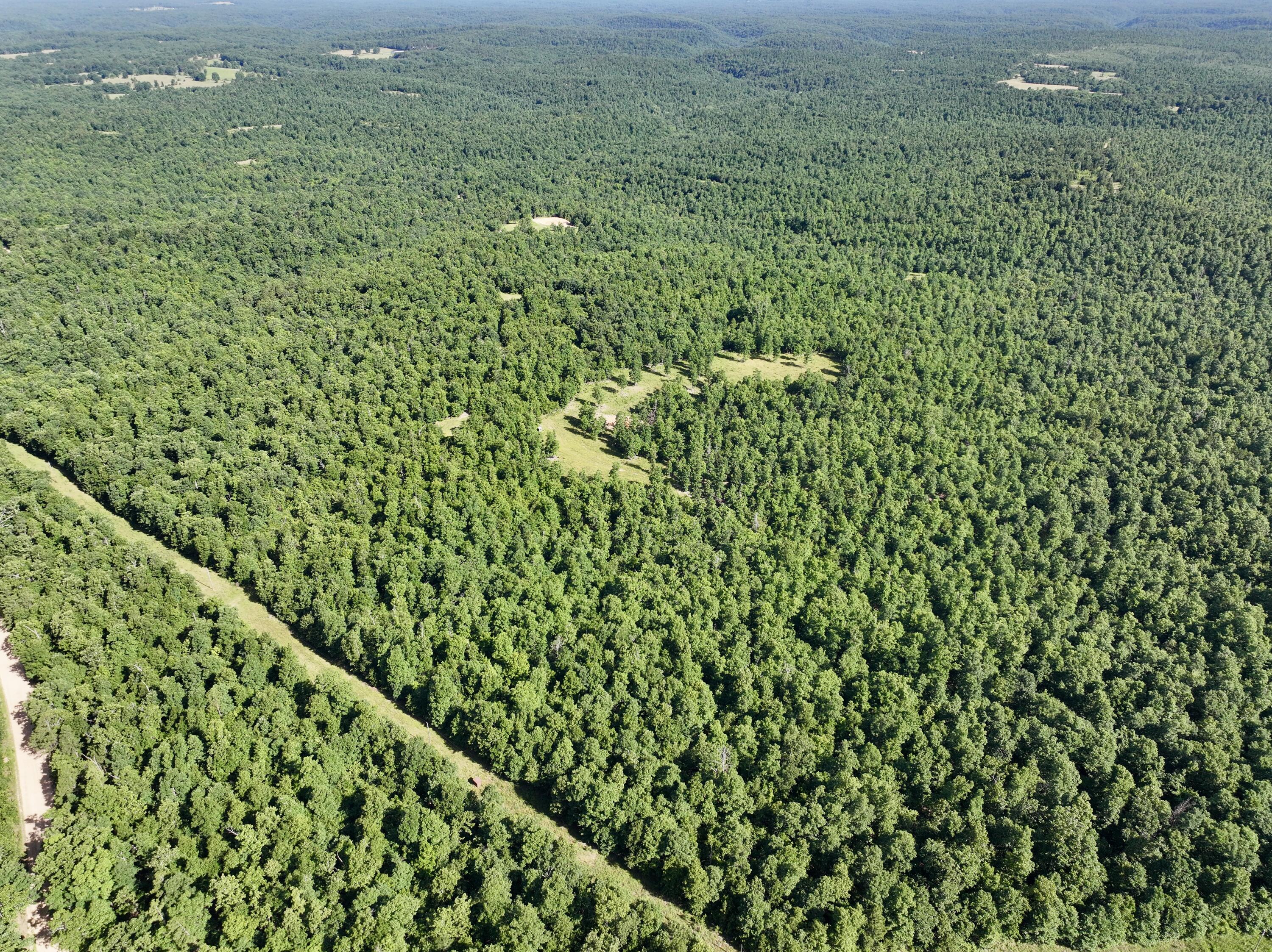 Photo 49 - Land for sale – 000  County Road Ff-459   Birch Tree, MO