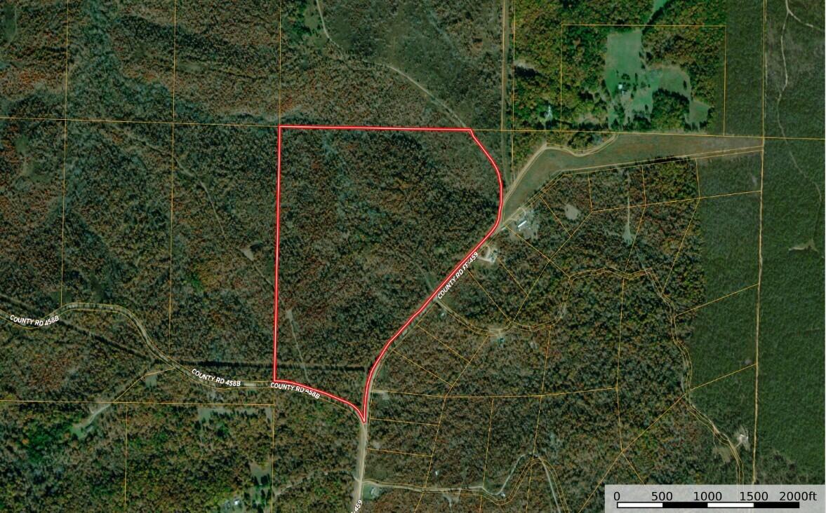Photo 8 - Land for sale – 000  County Road Ff-459   Birch Tree, MO