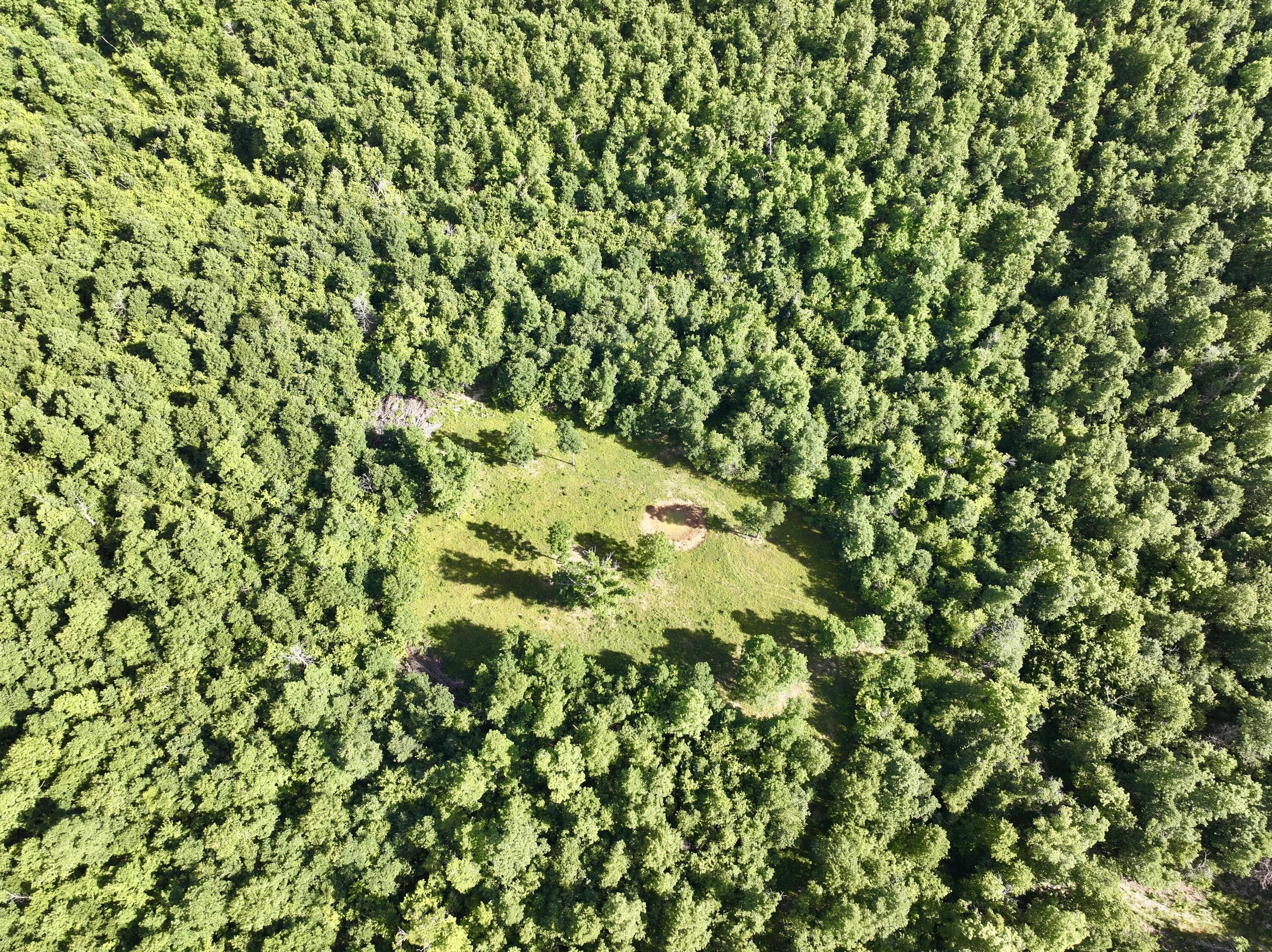 Photo 35 - Land for sale – 000  County Road Ff-459   Birch Tree, MO