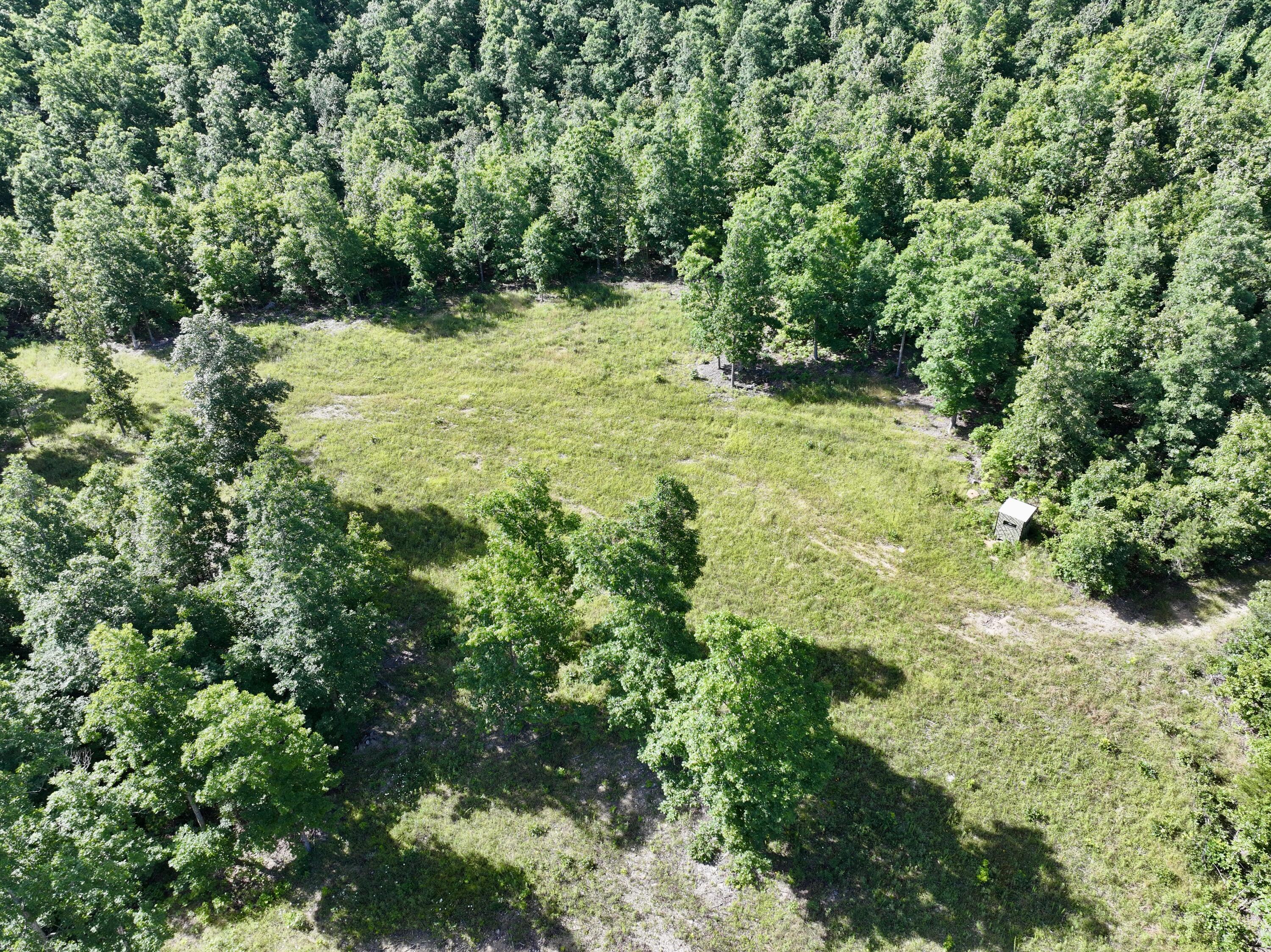 Photo 4 - Land for sale – 000  County Road Ff-459   Birch Tree, MO