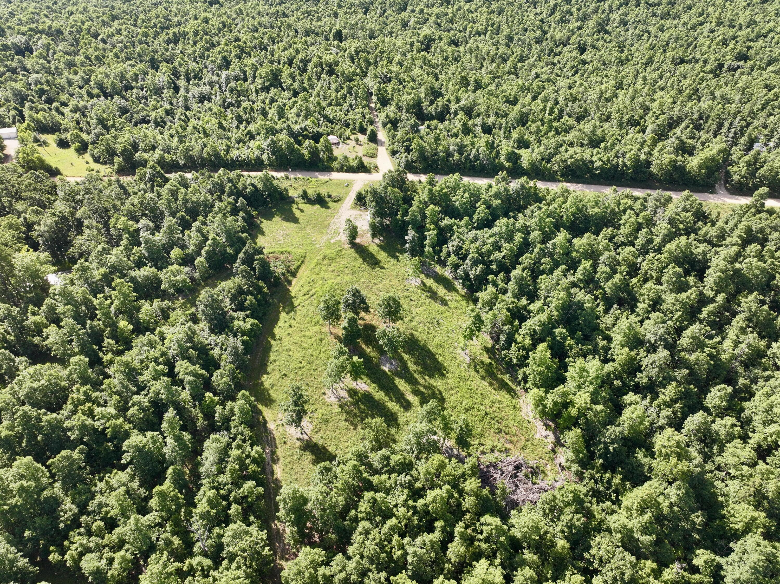 Photo 6 - Land for sale – 000  County Road Ff-459   Birch Tree, MO