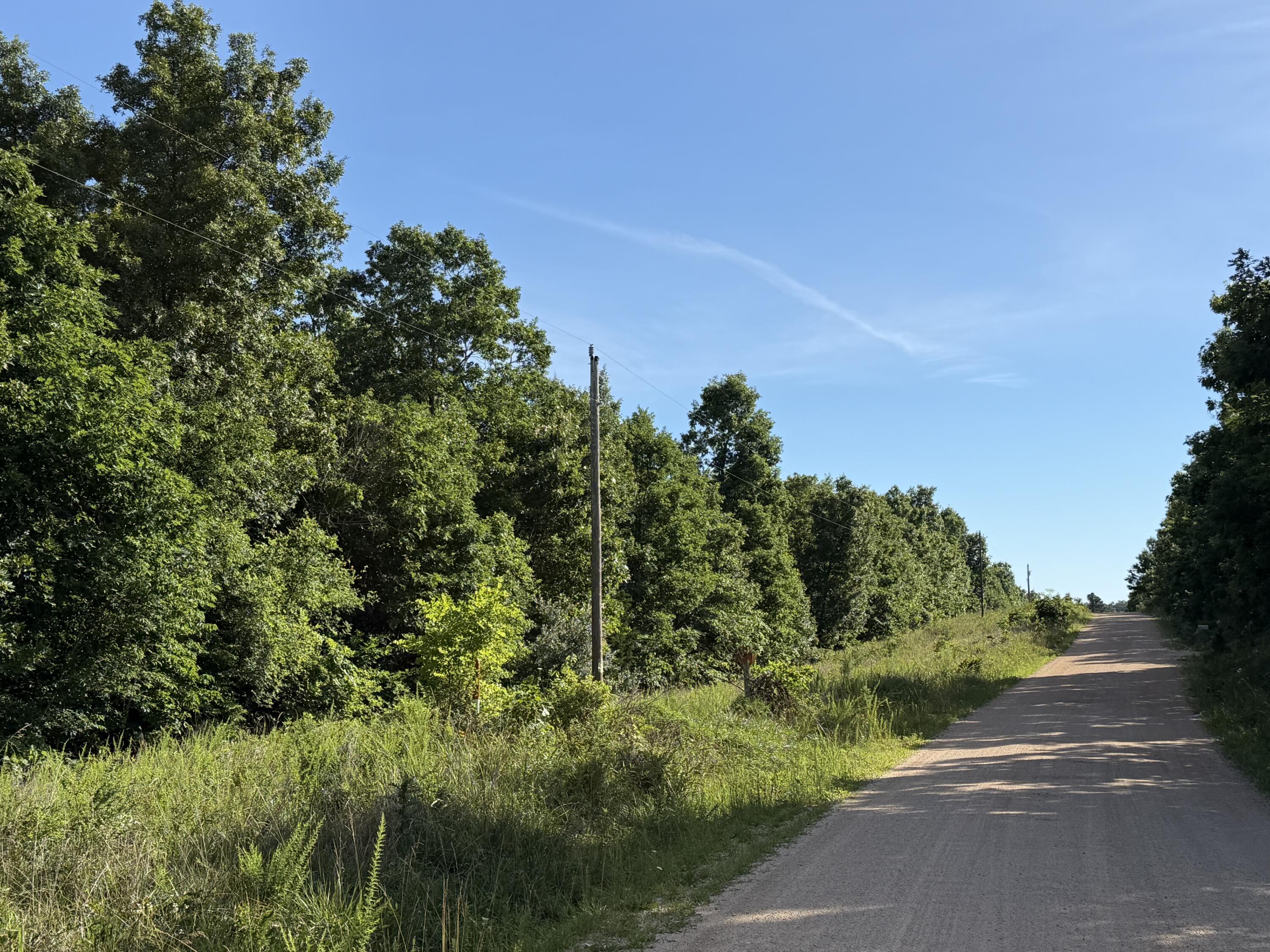 Photo 53 - Land for sale – 000  County Road Ff-459   Birch Tree, MO