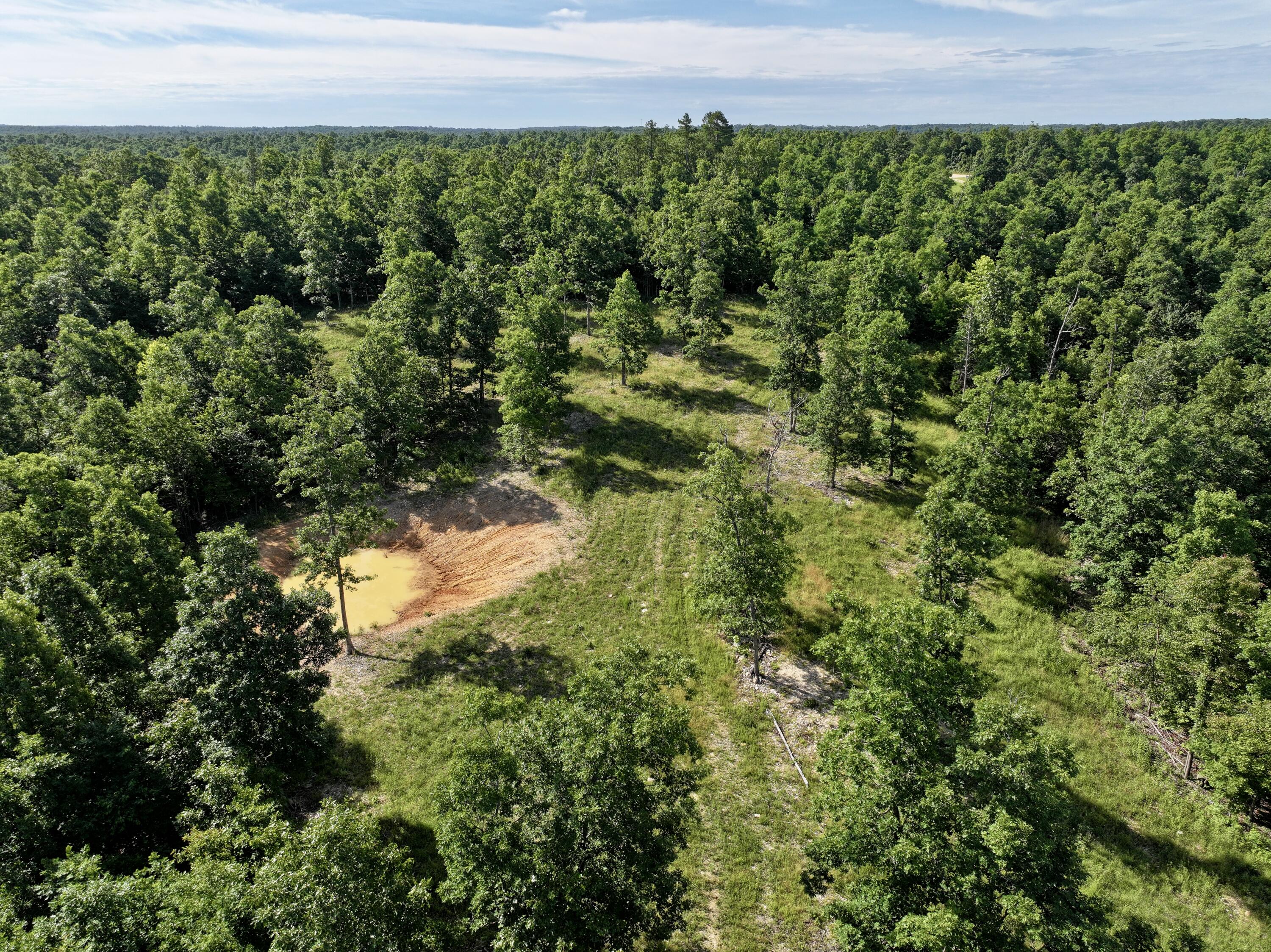Photo 2 - Land for sale – 000  County Road Ff-459   Birch Tree, MO
