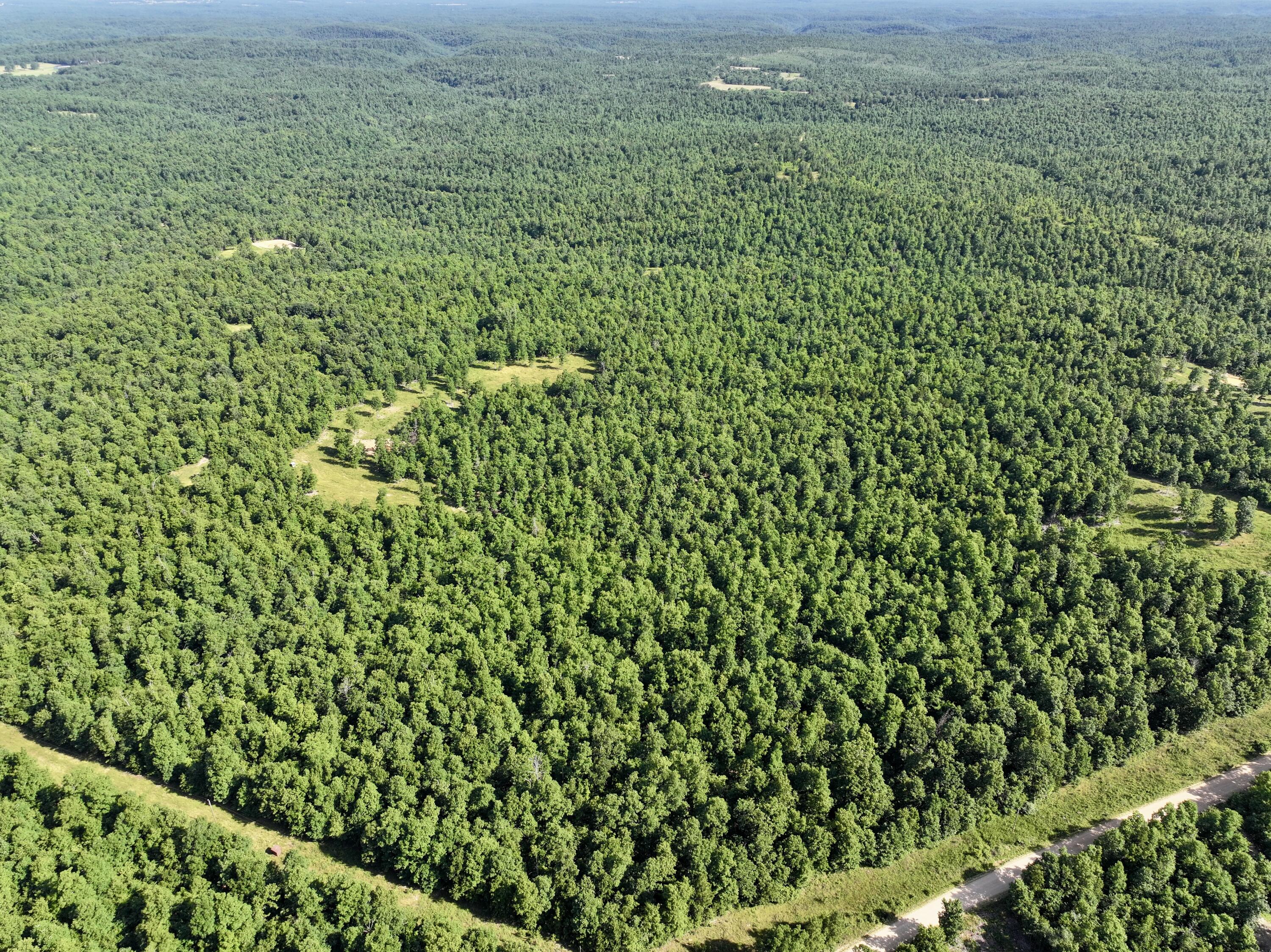 Photo 9 - Land for sale – 000  County Road Ff-459   Birch Tree, MO