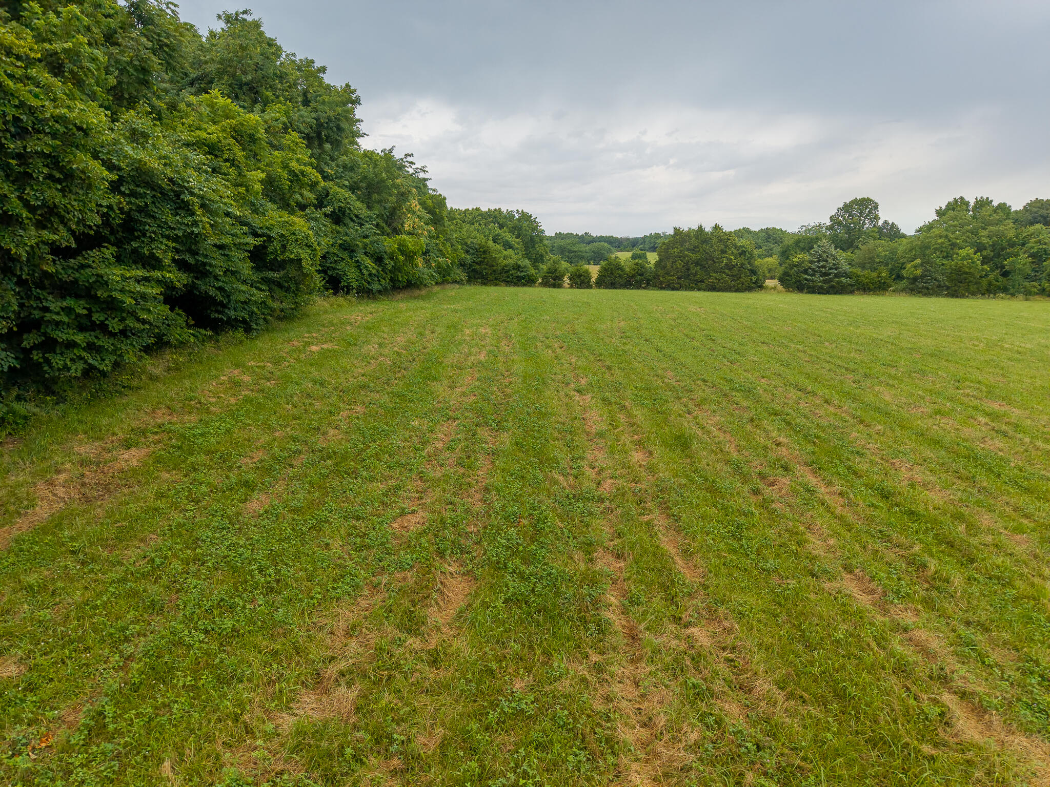 Photo 11 - Land for sale – 3  State Highway 32   Stockton, MO