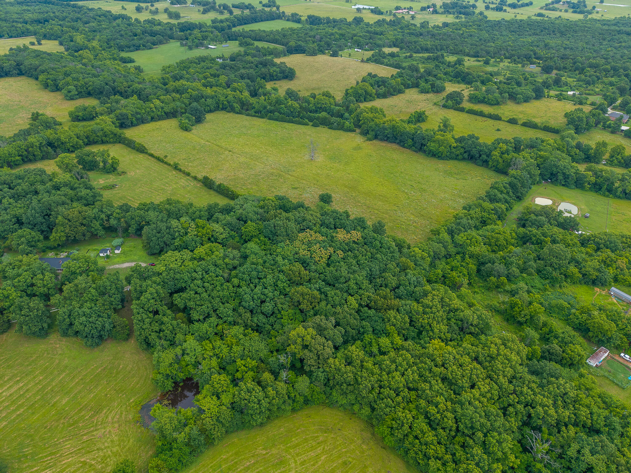 Photo 8 - Land for sale – 5  State Highway 32   Stockton, MO