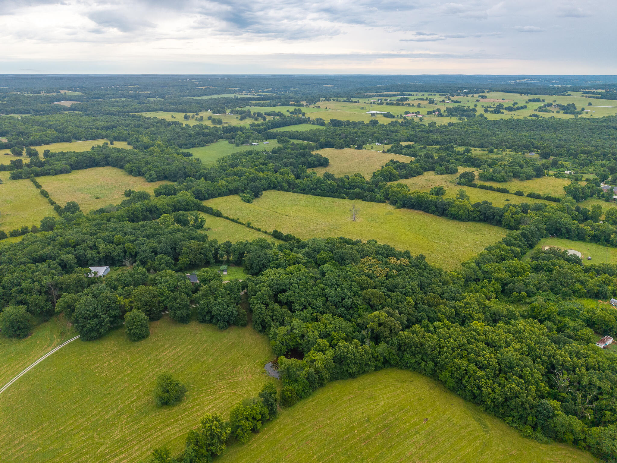Photo 5 - Land for sale – 5  State Highway 32   Stockton, MO