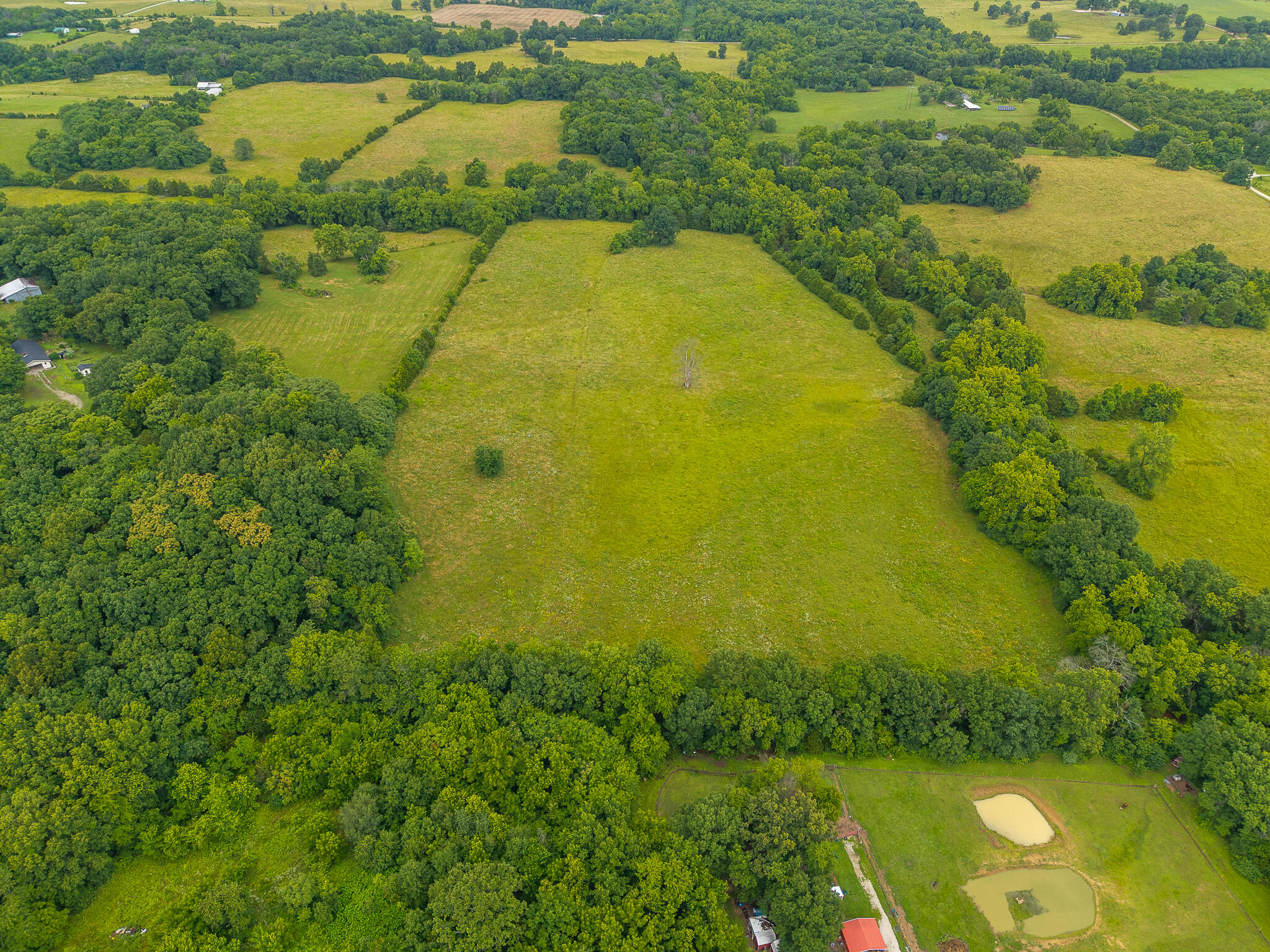 Photo 2 - Land for sale – 5  State Highway 32   Stockton, MO