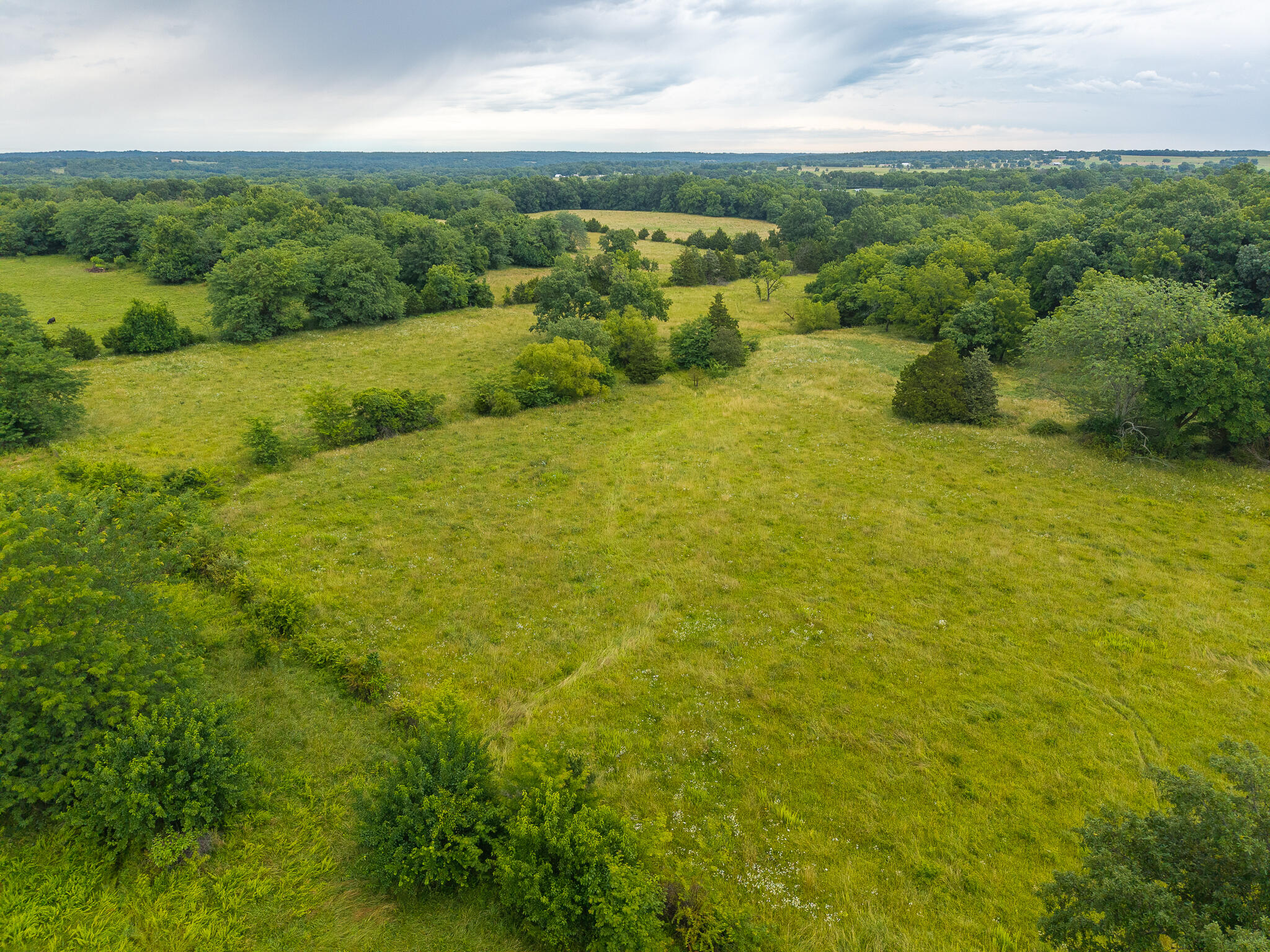 Photo 15 - Land for sale – 10  State Highway 32   Stockton, MO