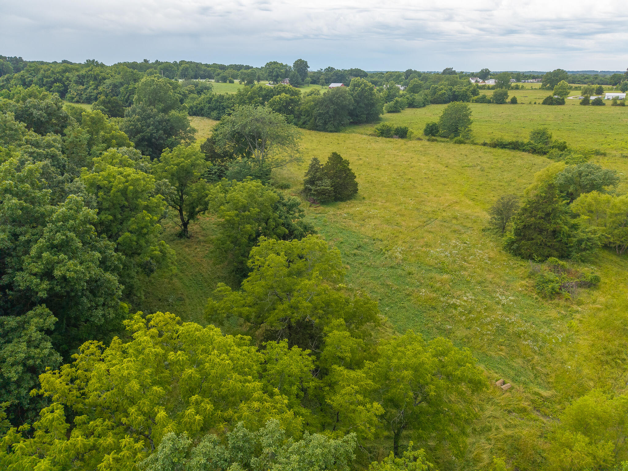 Photo 15 - Land for sale – 11  State Highway 32   Stockton, MO