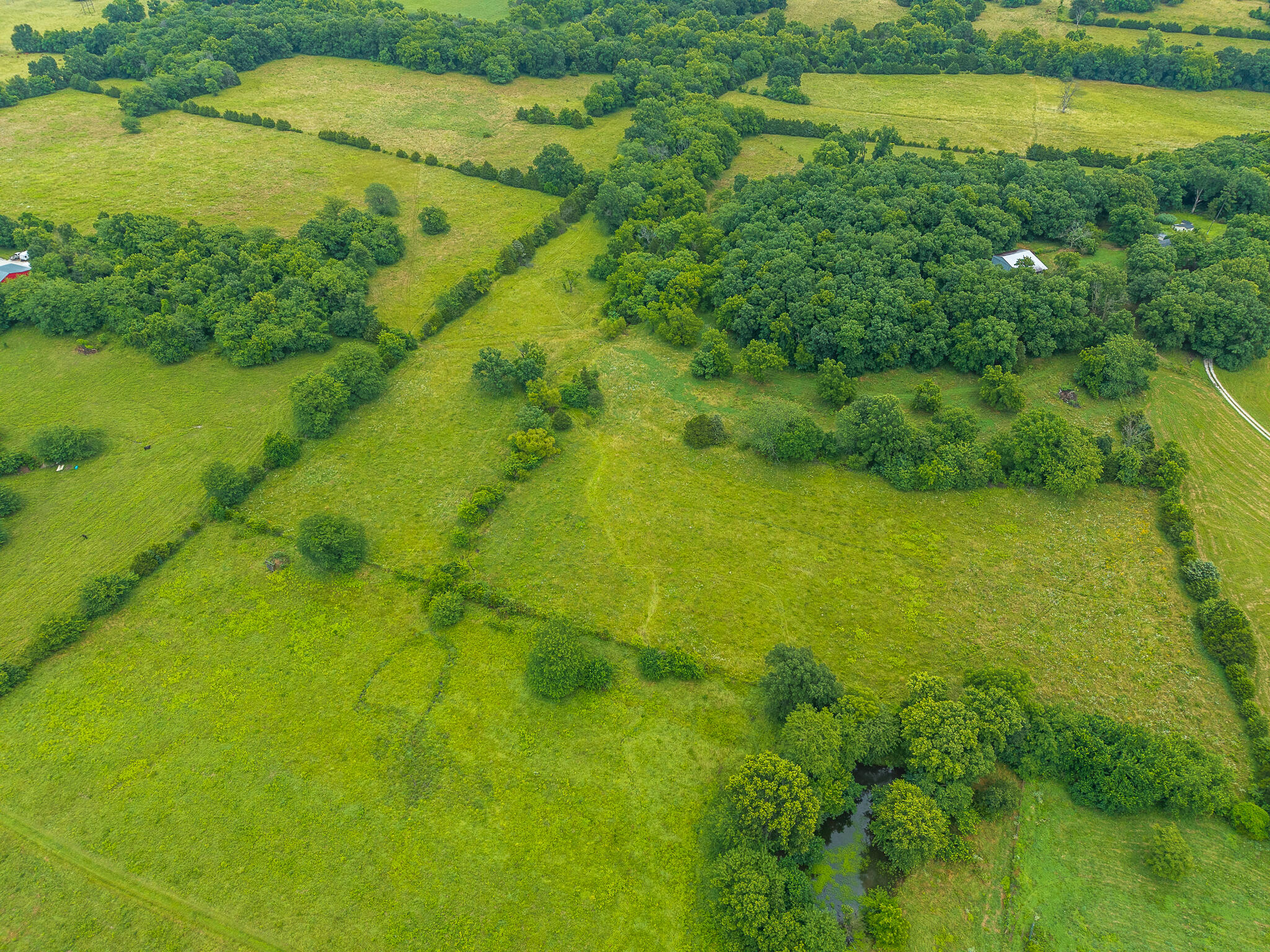 Photo 9 - Land for sale – 11  State Highway 32   Stockton, MO