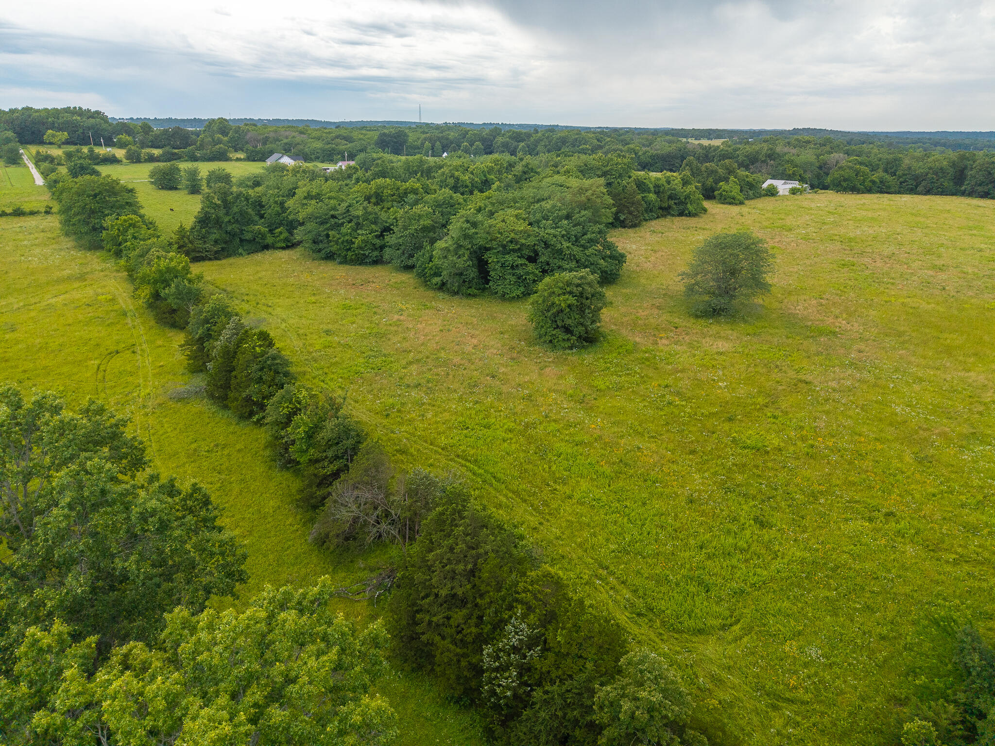 Photo 17 - Land for sale – 12  State Highway 32   Stockton, MO