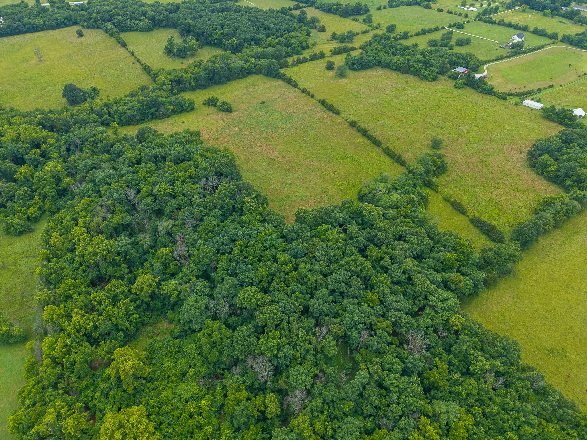 Photo 2 - Land for sale – 13  State Highway 32   Stockton, MO