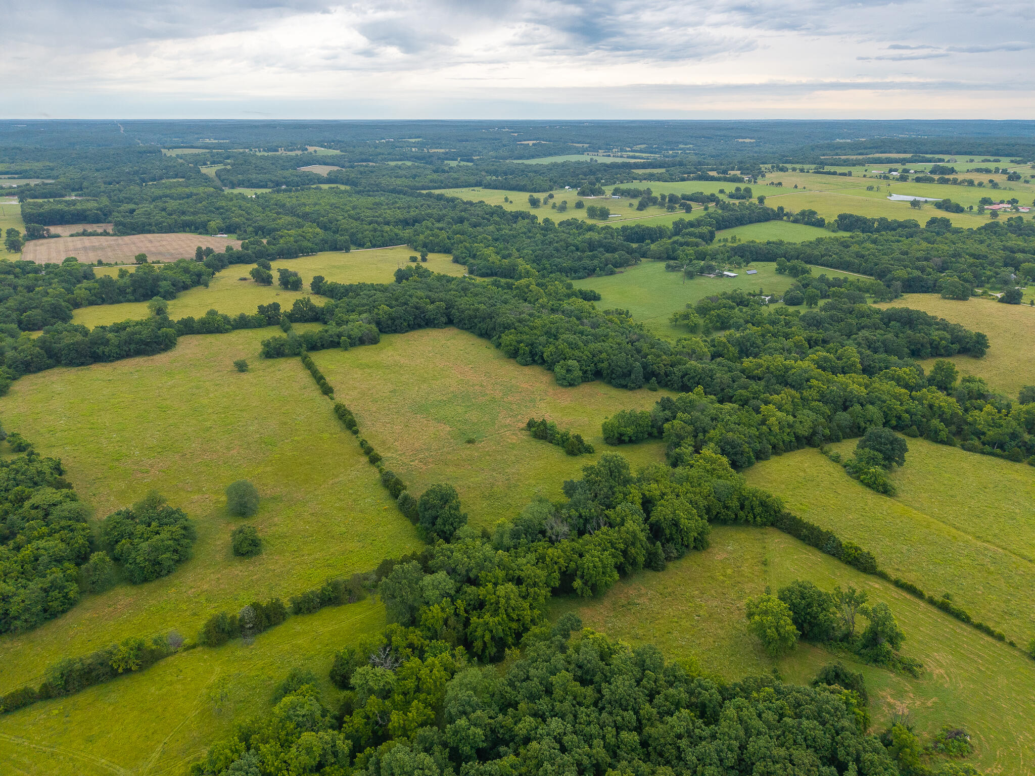 Photo 10 - Land for sale – 13  State Highway 32   Stockton, MO