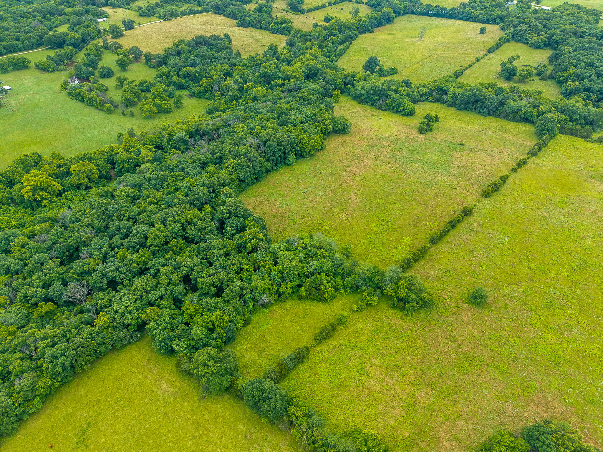 Photo 13 - Land for sale – 13  State Highway 32   Stockton, MO