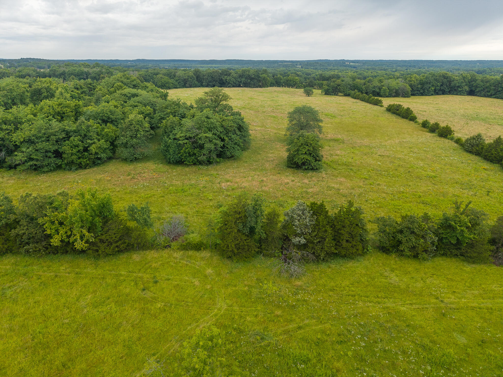 Photo 14 - Land for sale – 13  State Highway 32   Stockton, MO