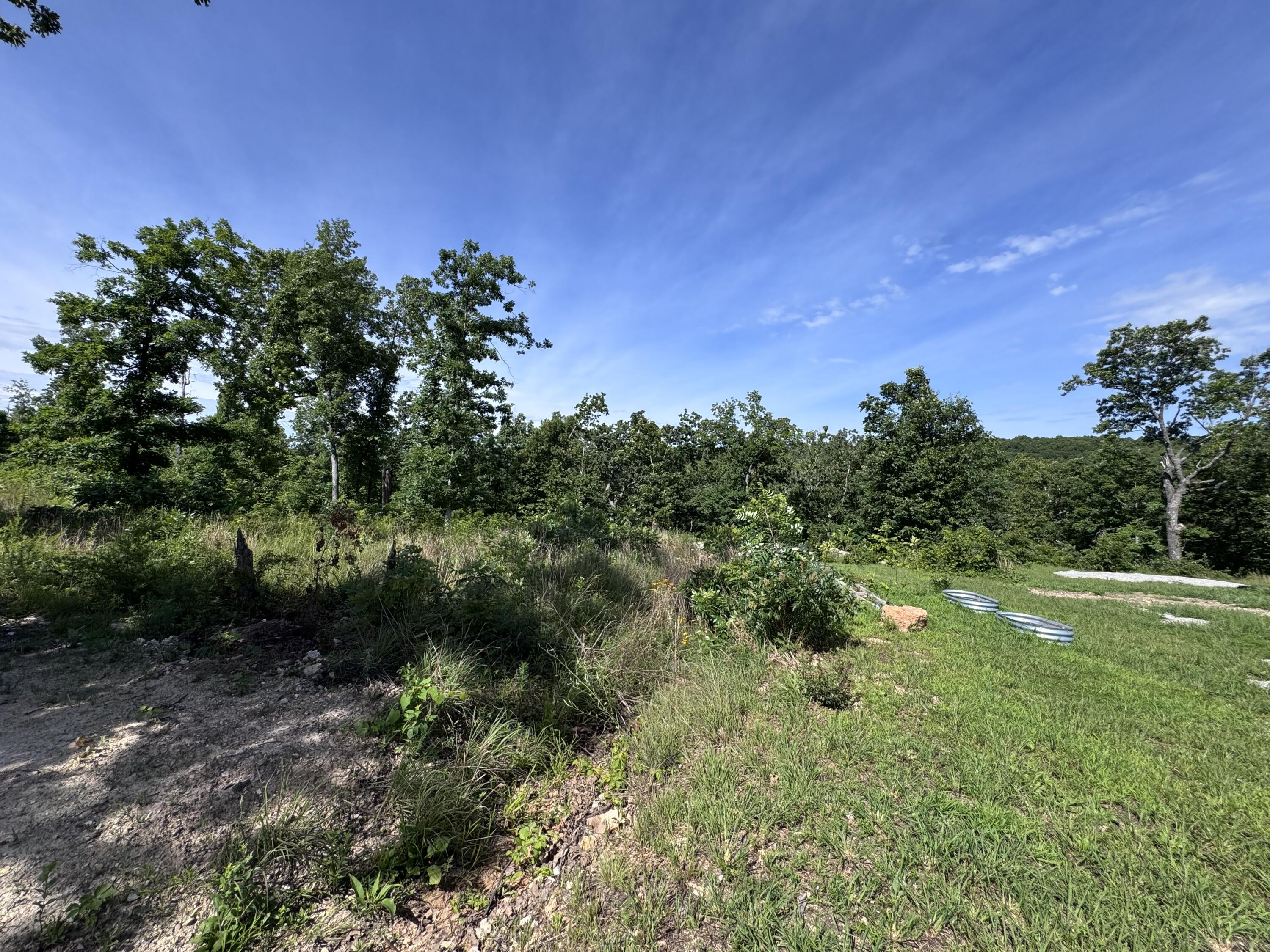 Photo 16 - Land for sale – 1493  County Road N-333   Ava, MO