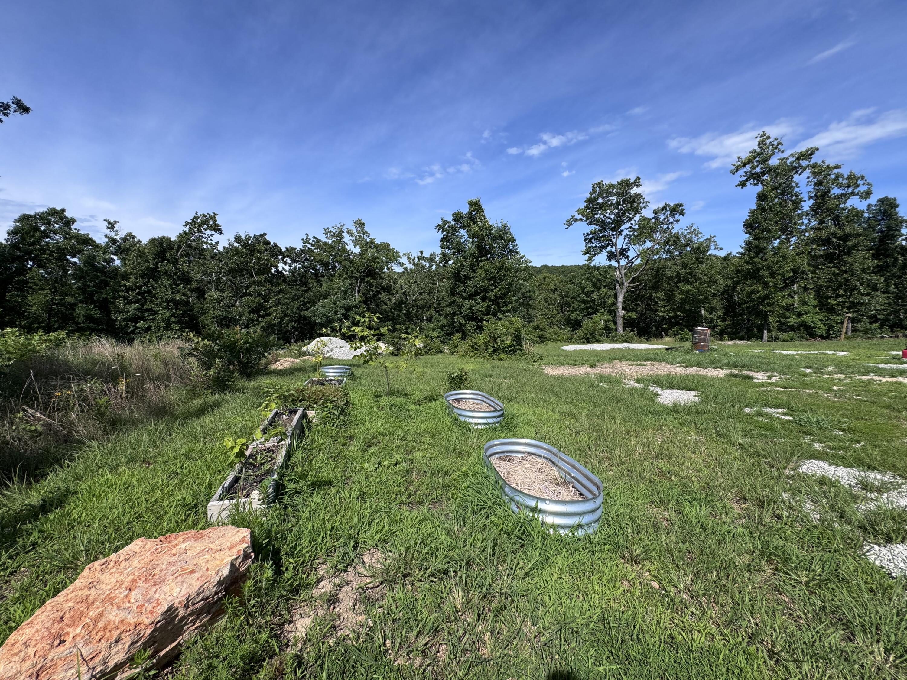 Photo 11 - Land for sale – 1493  County Road N-333   Ava, MO