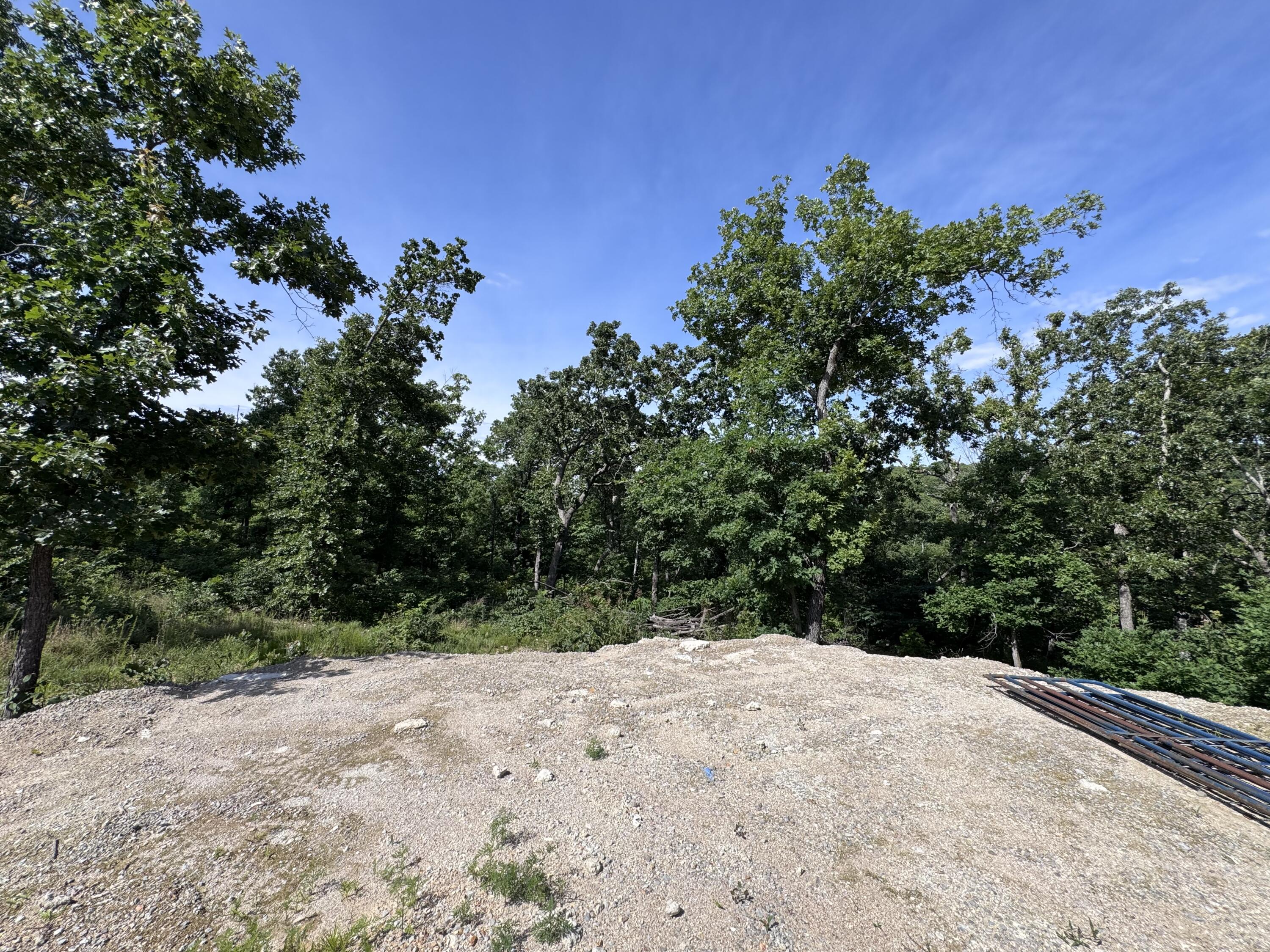 Photo 29 - Land for sale – 1493  County Road N-333   Ava, MO