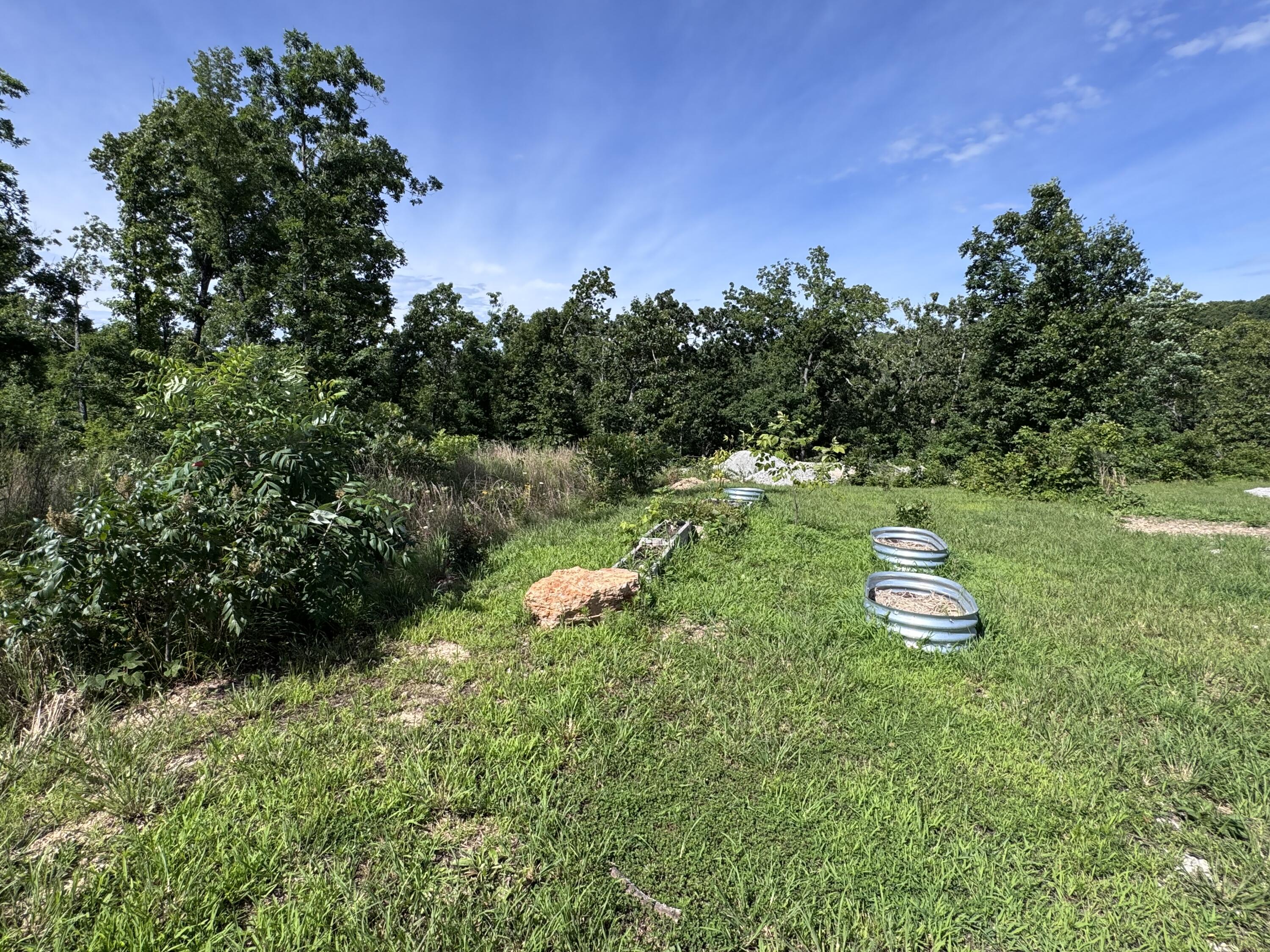 Photo 18 - Land for sale – 1493  County Road N-333   Ava, MO