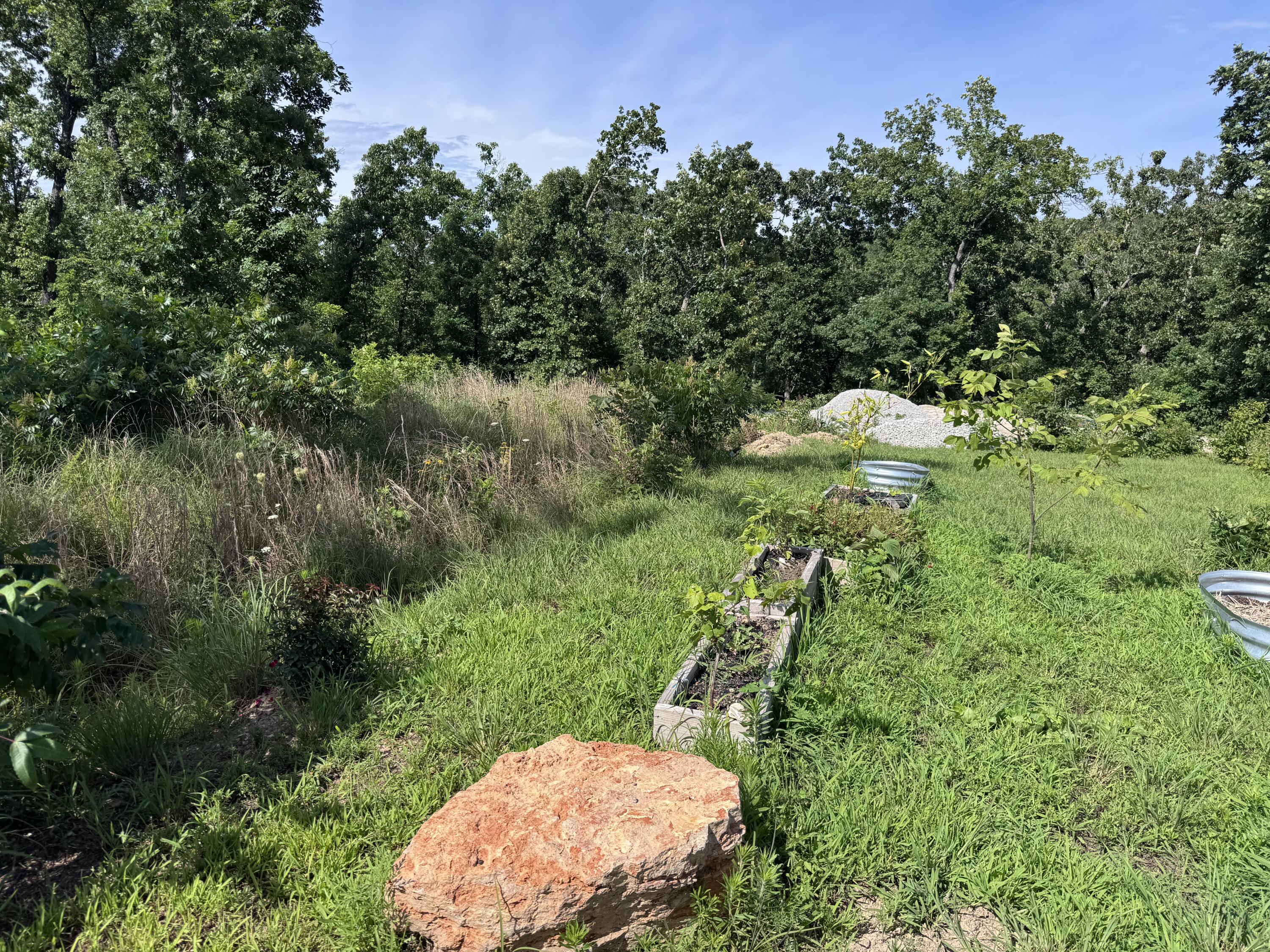 Photo 14 - Land for sale – 1493  County Road N-333   Ava, MO