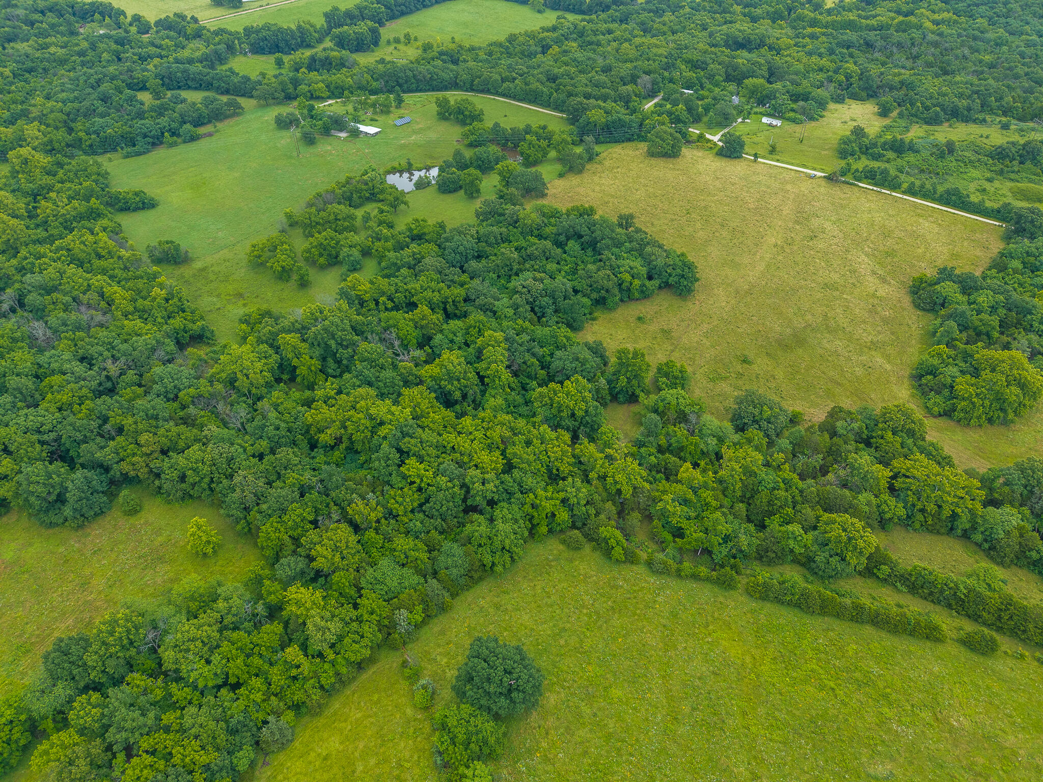 Photo 11 - Land for sale – 15  State Highway 32   Stockton, MO