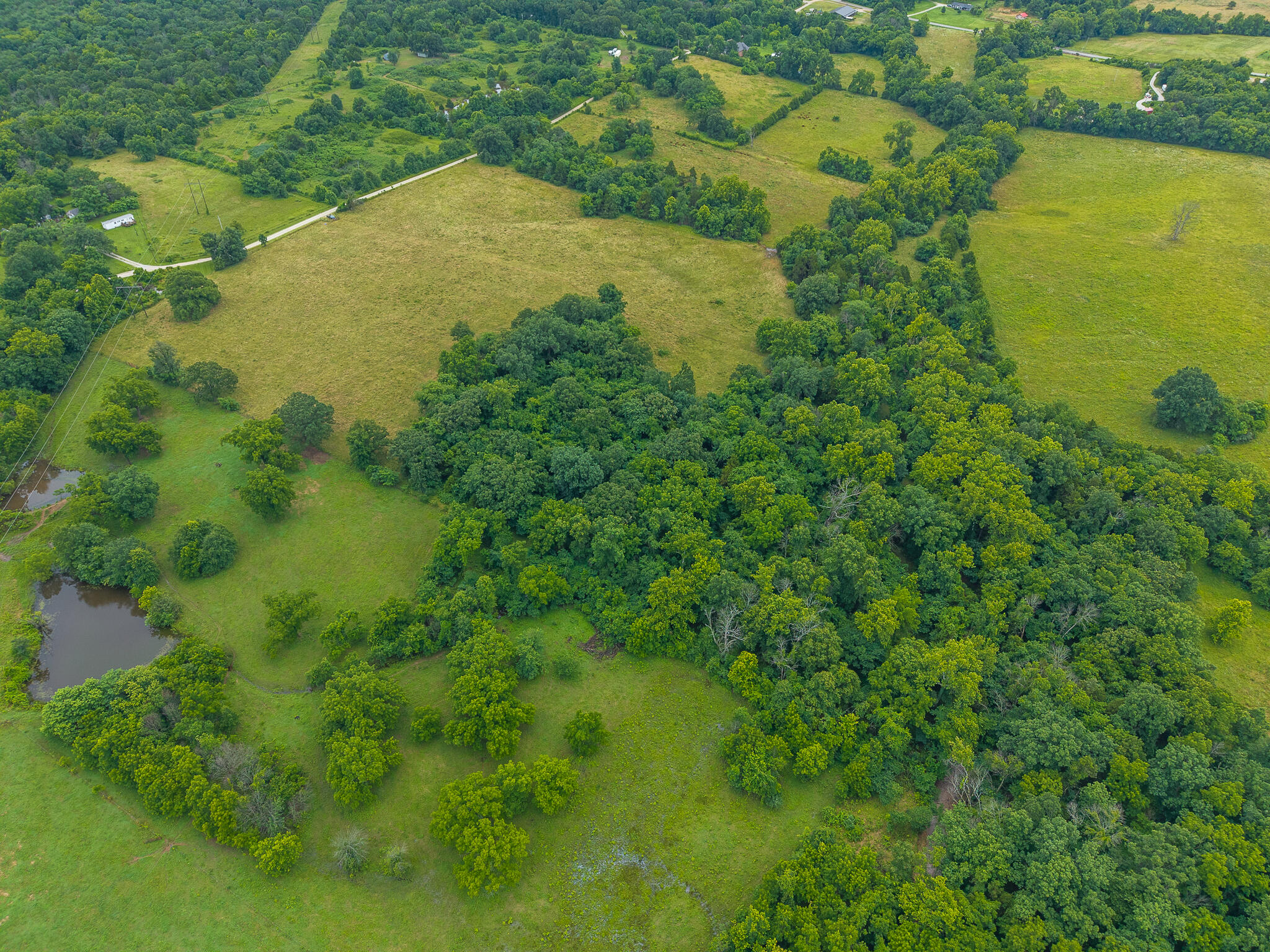 Photo 9 - Land for sale – 15  State Highway 32   Stockton, MO