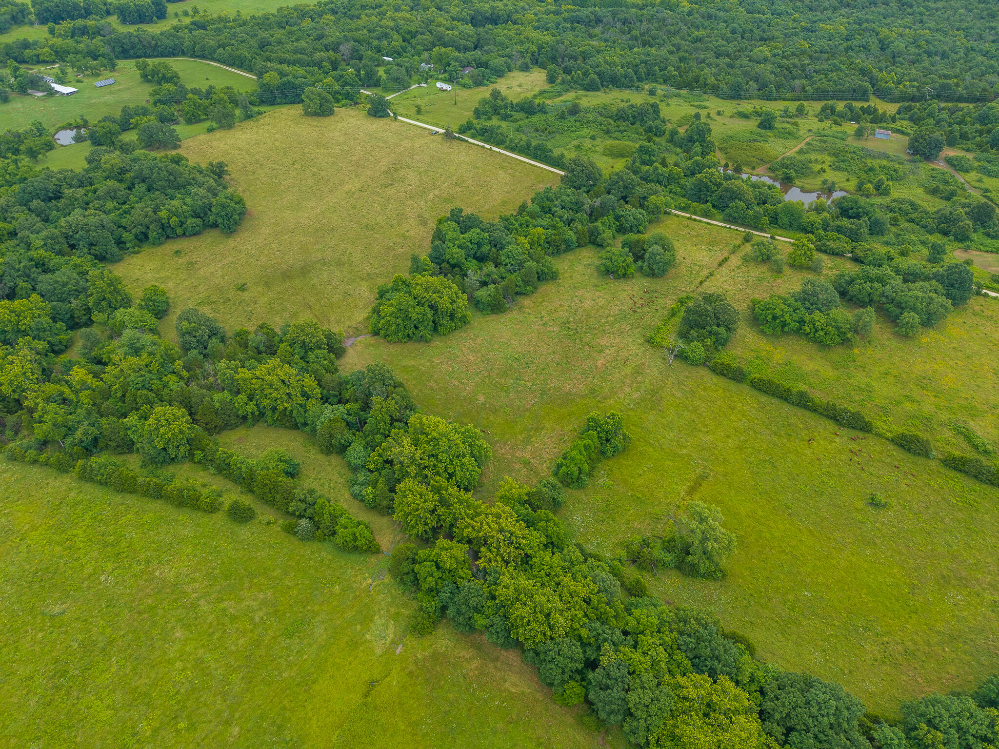 Photo 10 - Land for sale – 15  State Highway 32   Stockton, MO