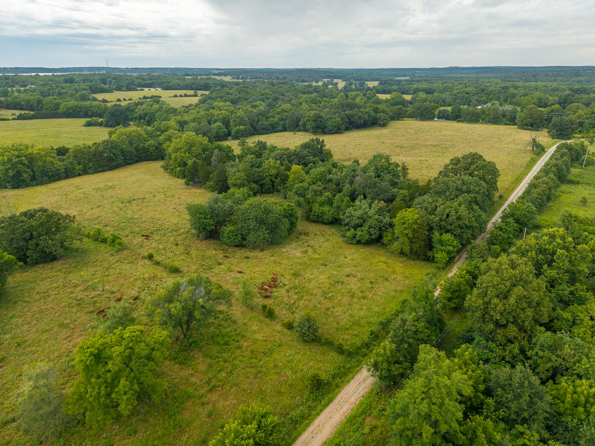 Photo 17 - Land for sale – 16  State Highway 32   Stockton, MO