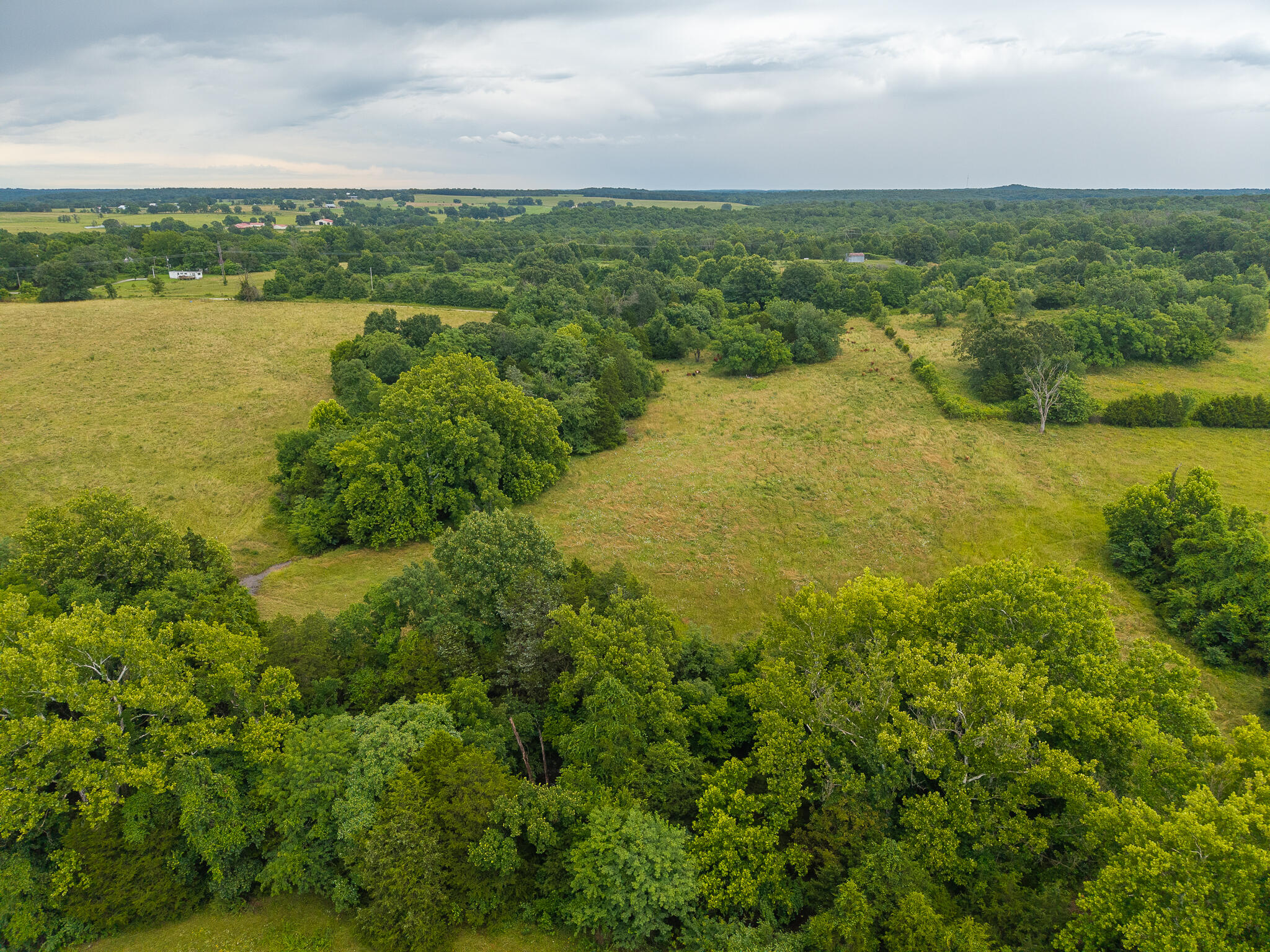 Photo 18 - Land for sale – 16  State Highway 32   Stockton, MO