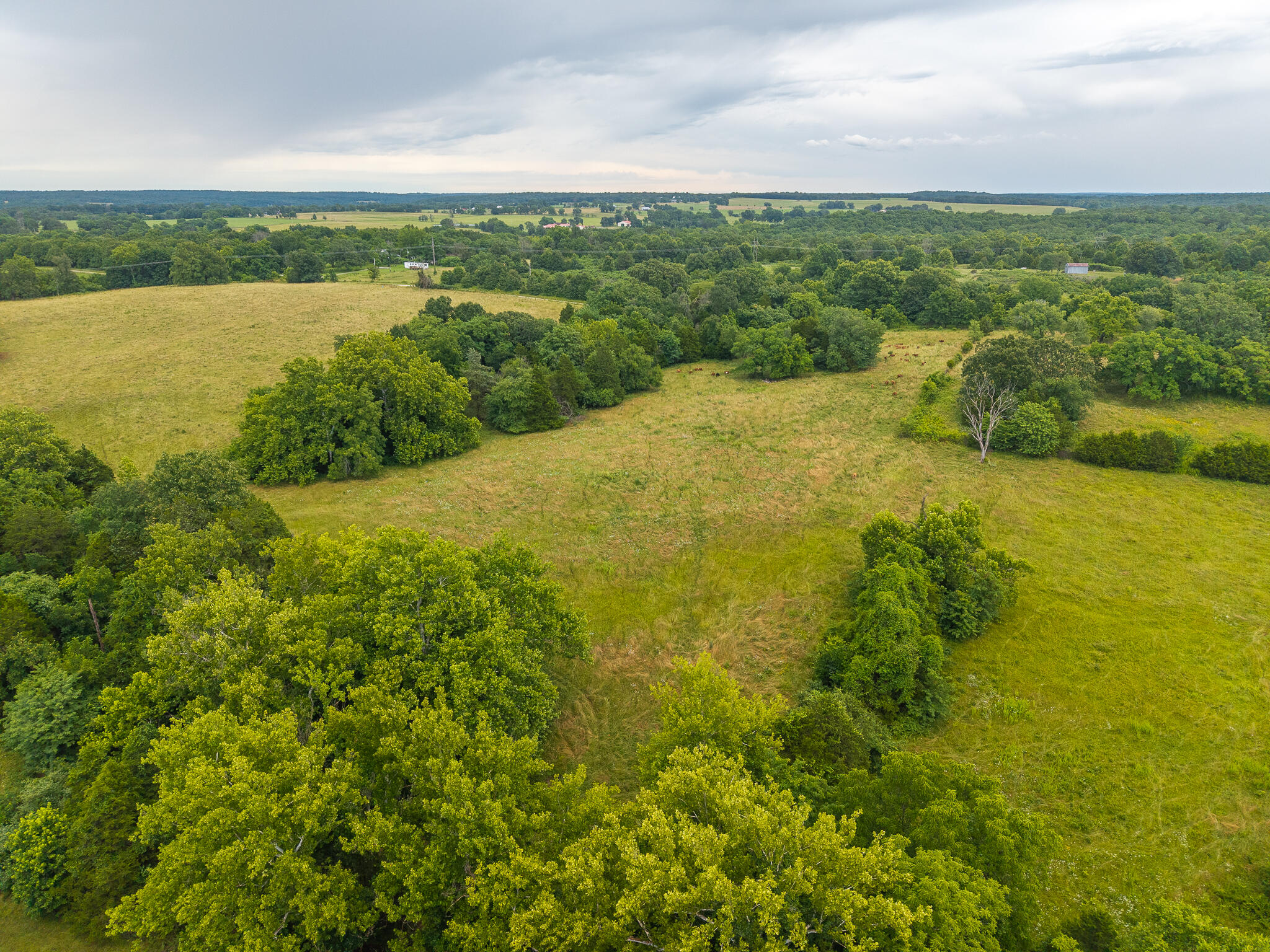 Photo 19 - Land for sale – 16  State Highway 32   Stockton, MO