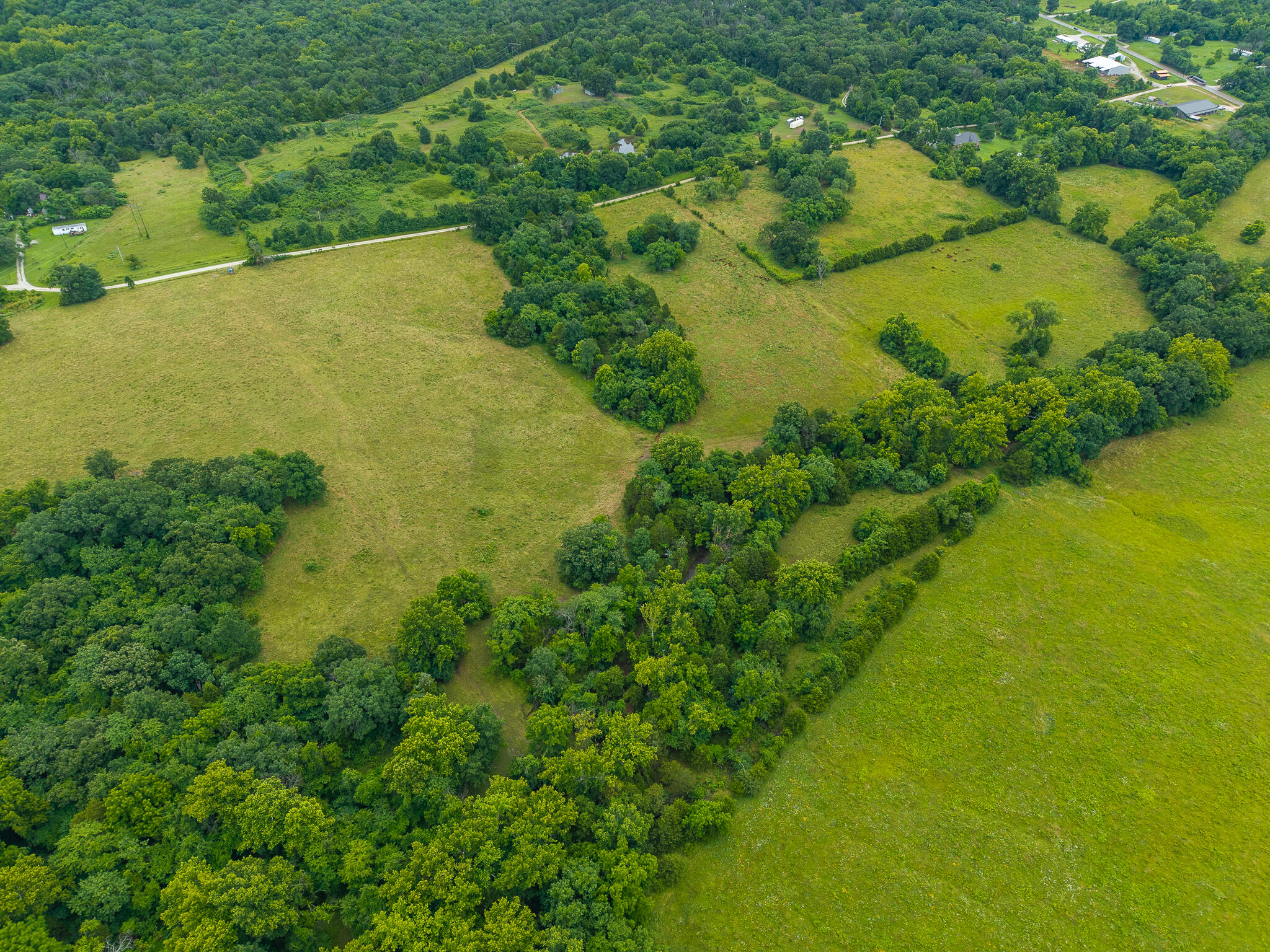 Photo 10 - Land for sale – 16  State Highway 32   Stockton, MO